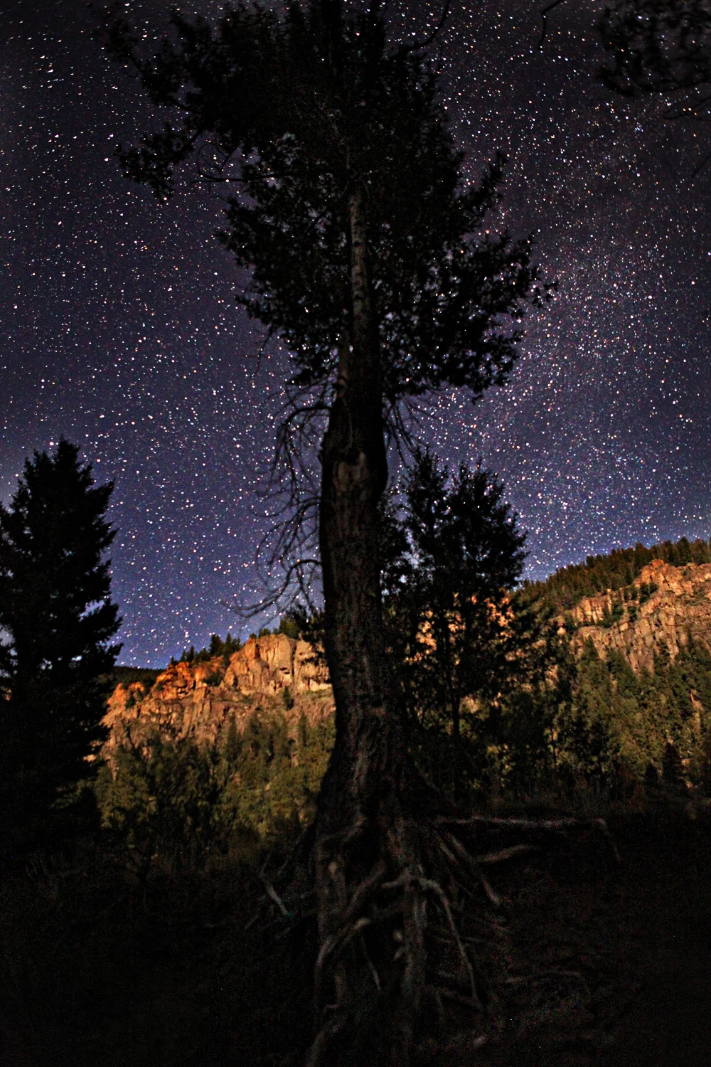 Colorado, USA 2009