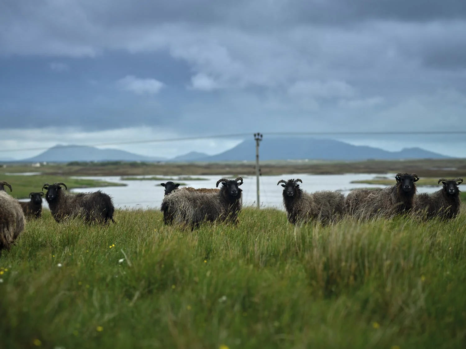 <b>Western Isles - UK General Election</b>