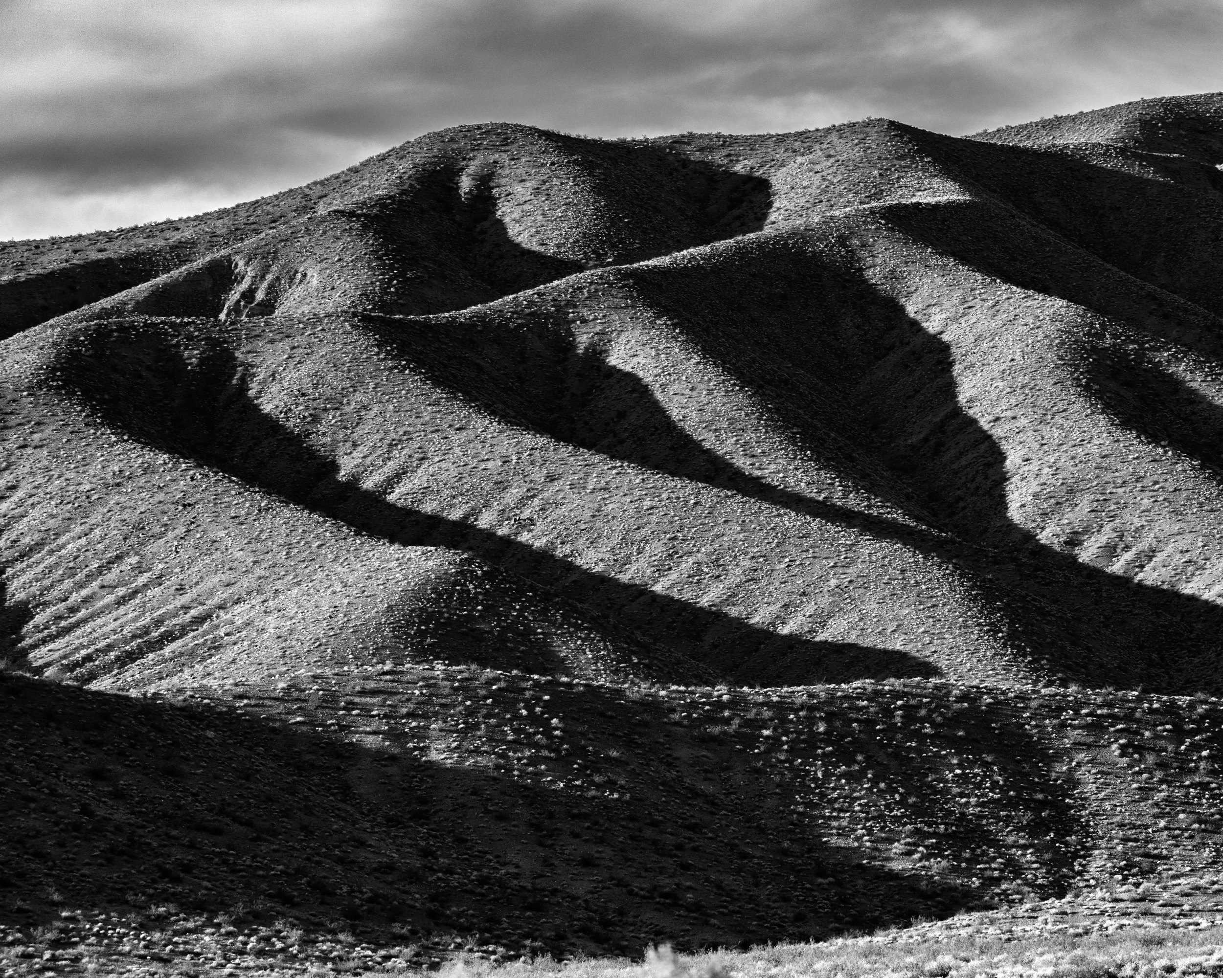 _08A1554_PM.jpg