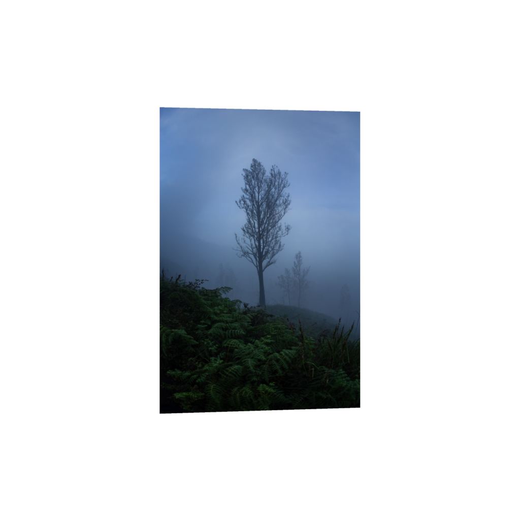 ptq_1_3_0_0_3648_5472_0_false_ffffff_0_0_.png