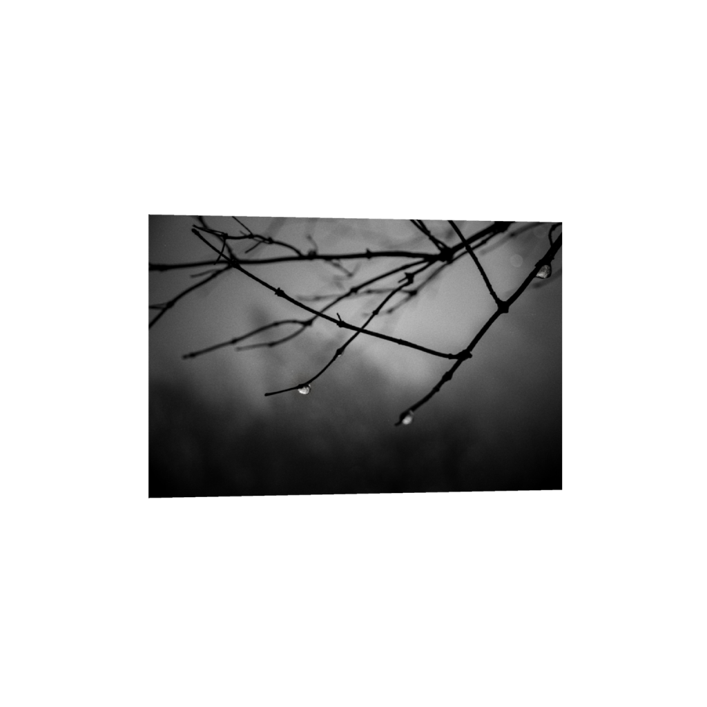 ptq_1_3_18_0_6738_4492_0_false_ffffff_0_0_.png