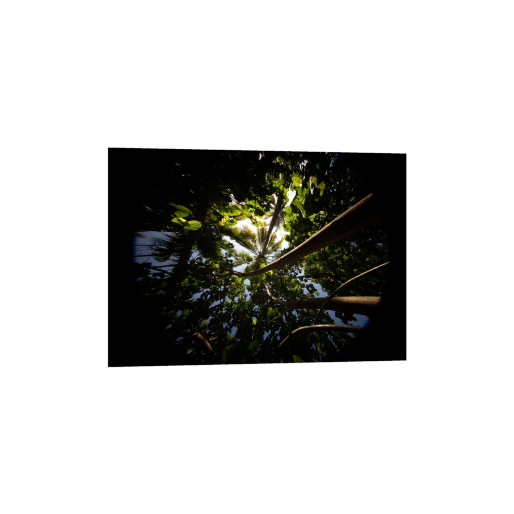 ptq_34_7_54_0_5107_3648_0_false_ffffff_0_0_.png