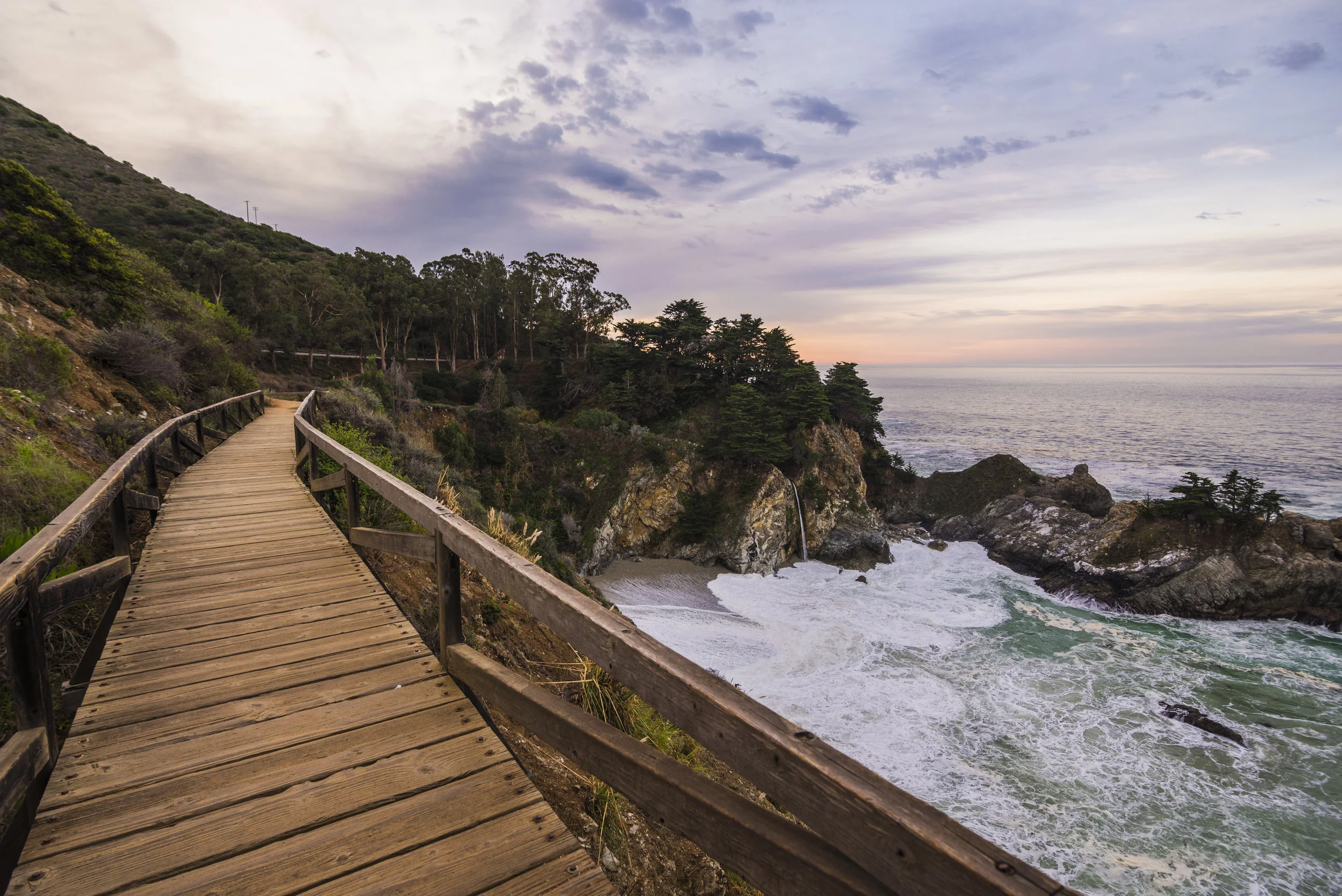 Daily Reflection | Connected in Christ