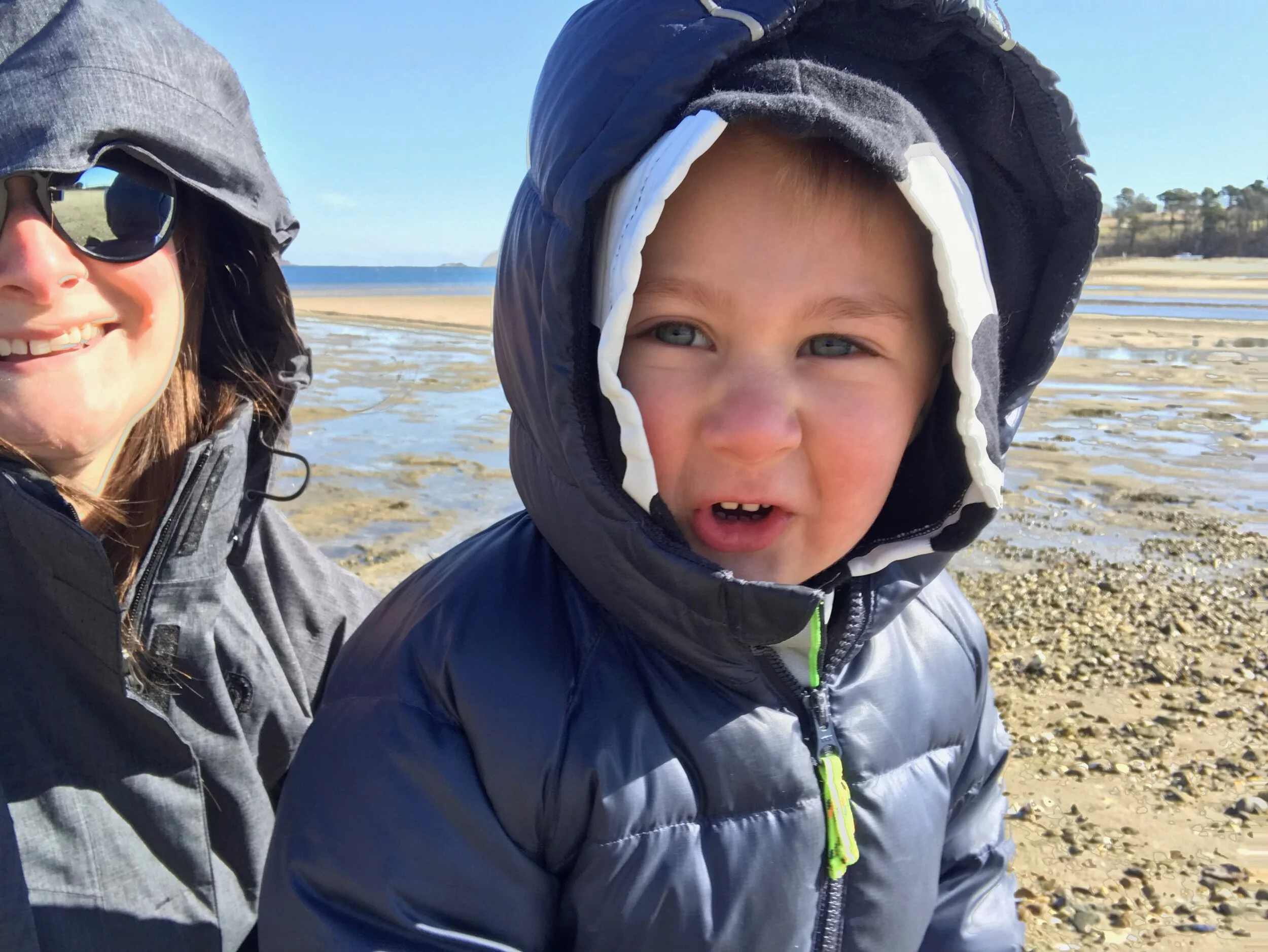 Daily Reflection | Connected in Christ