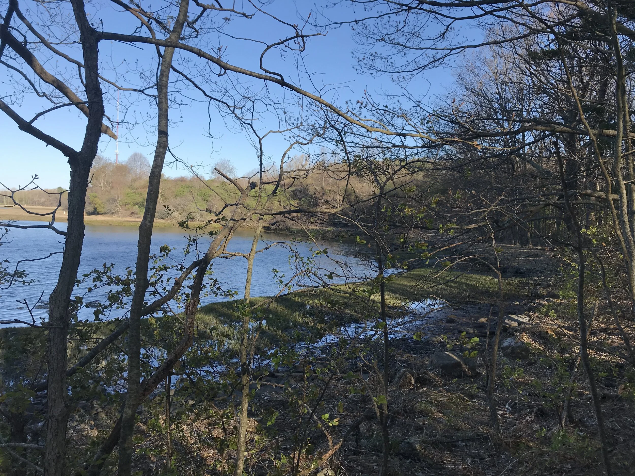 Daily Reflection | Connected in Christ
