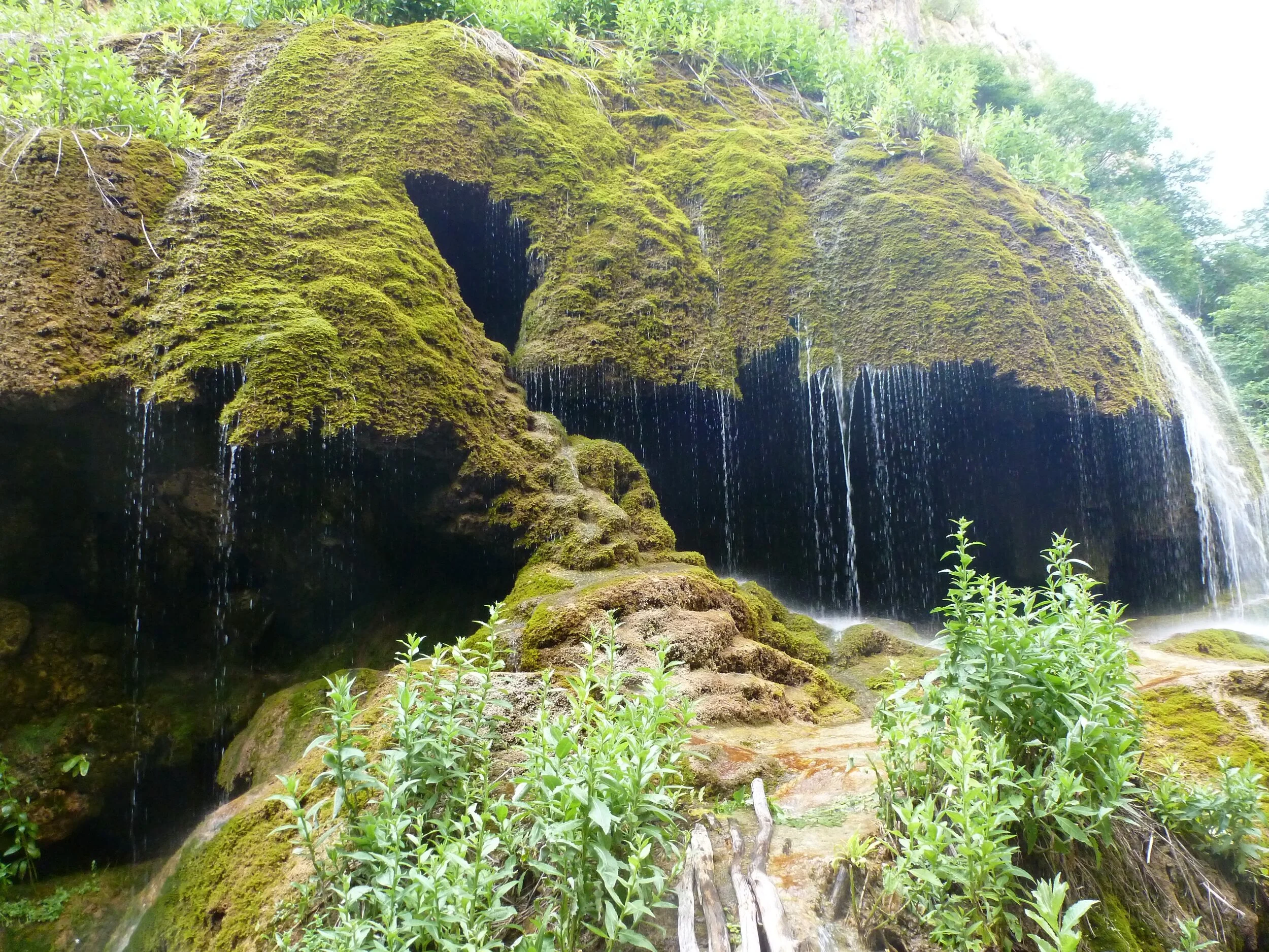 Daily Reflection | Connected in Christ