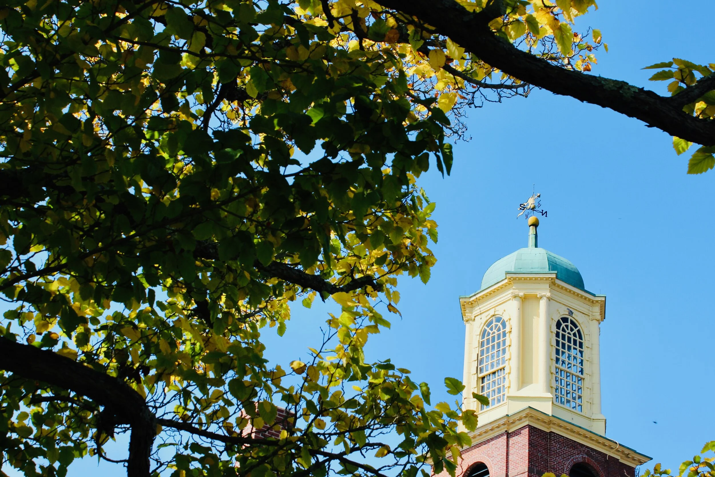 Drive-In Parish Dinner