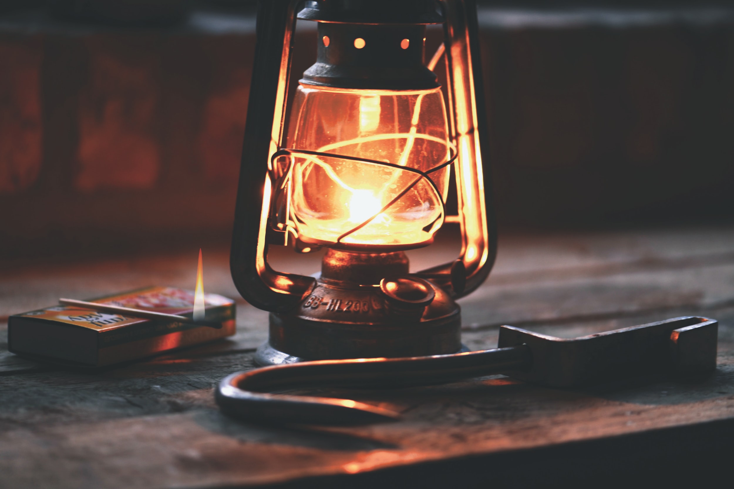 Daily Reflection | Connected in Christ