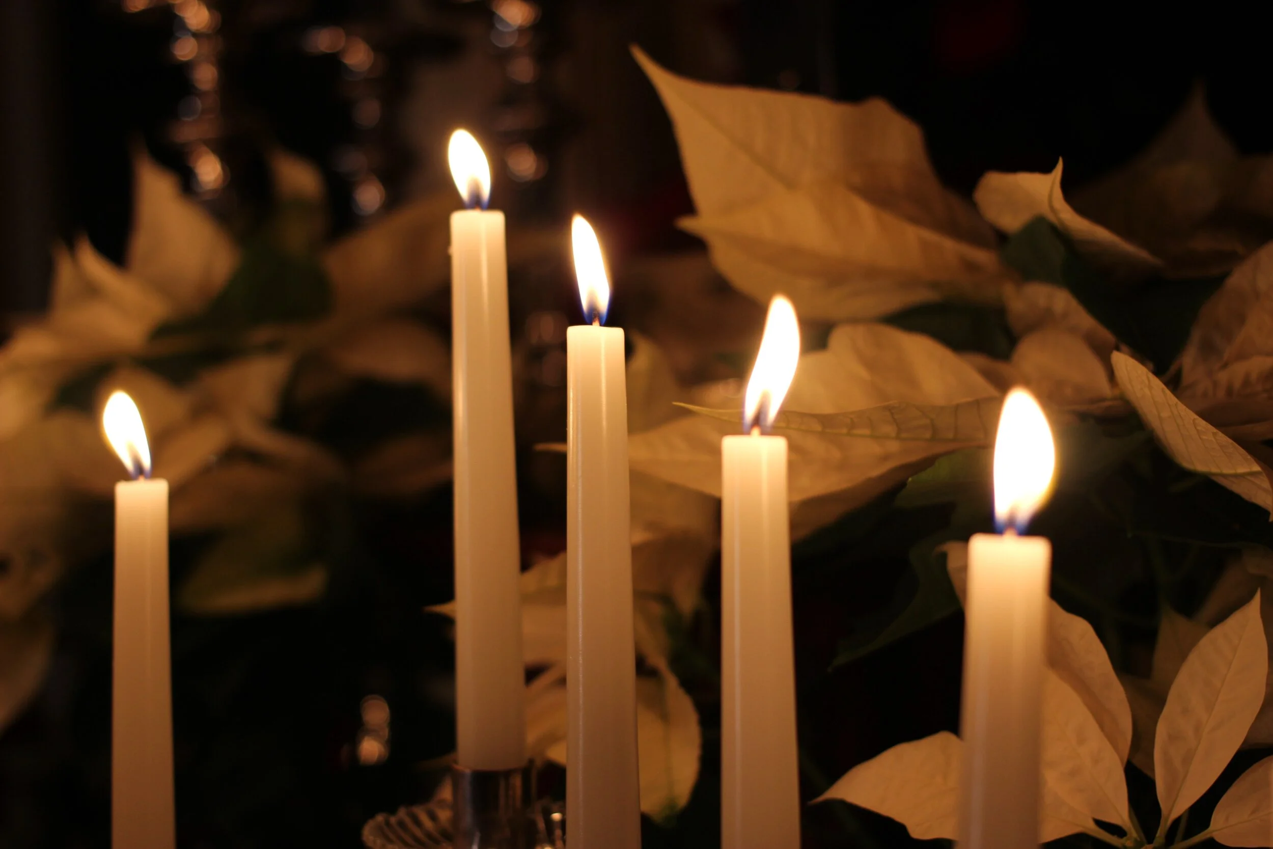 Service of Evening Prayer | Rite One