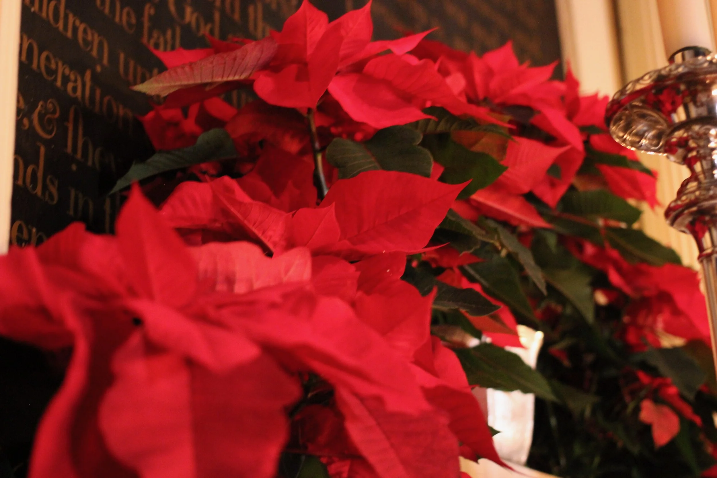 Rite One Morning Prayer | Epiphany