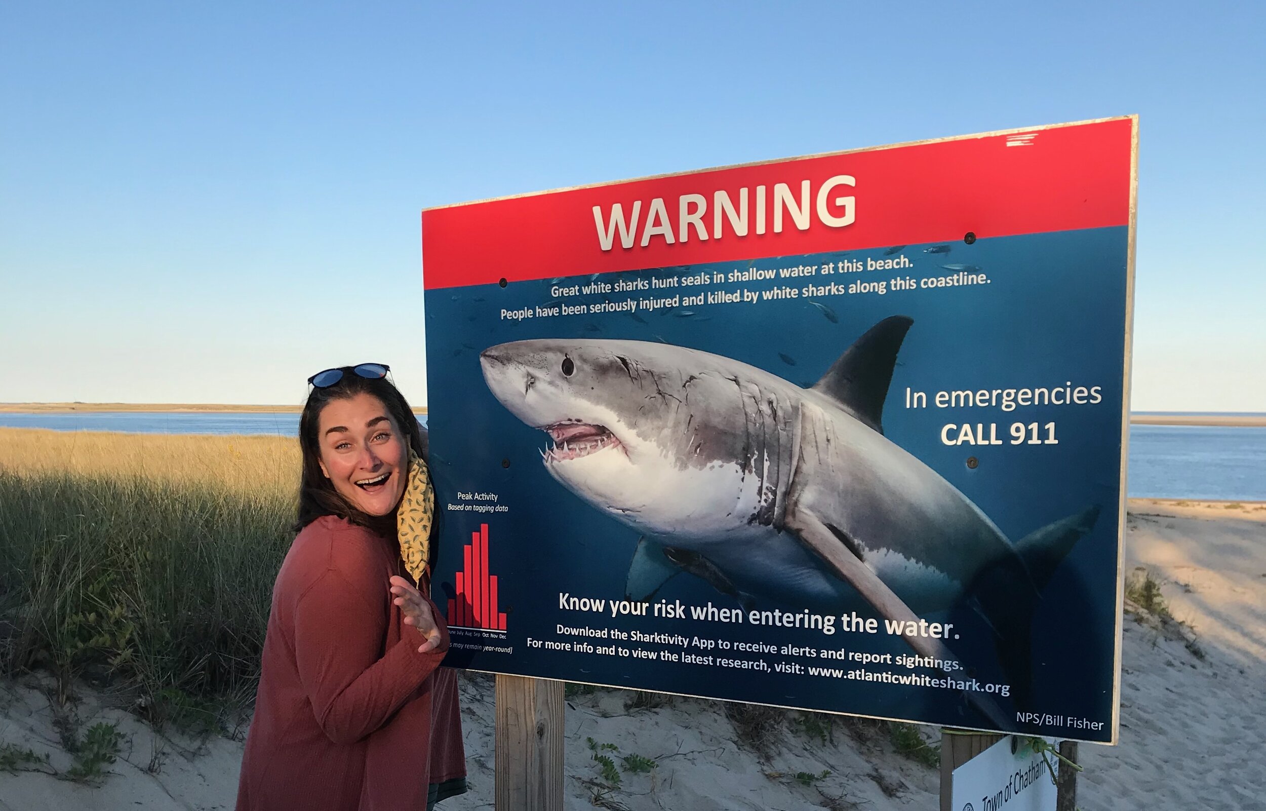 Daily Reflection | Connected in Christ