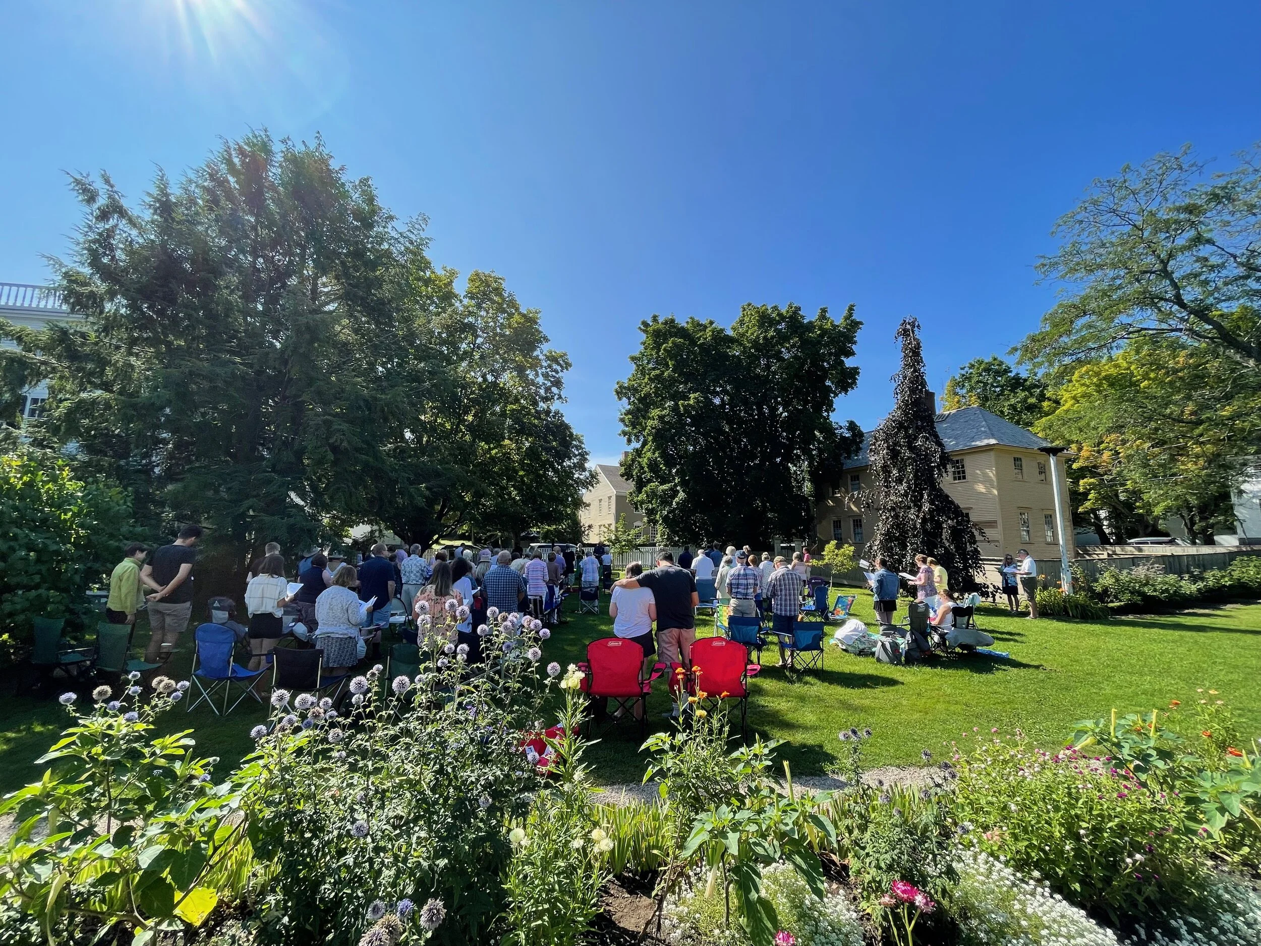 Daily Reflection | Connected in Christ