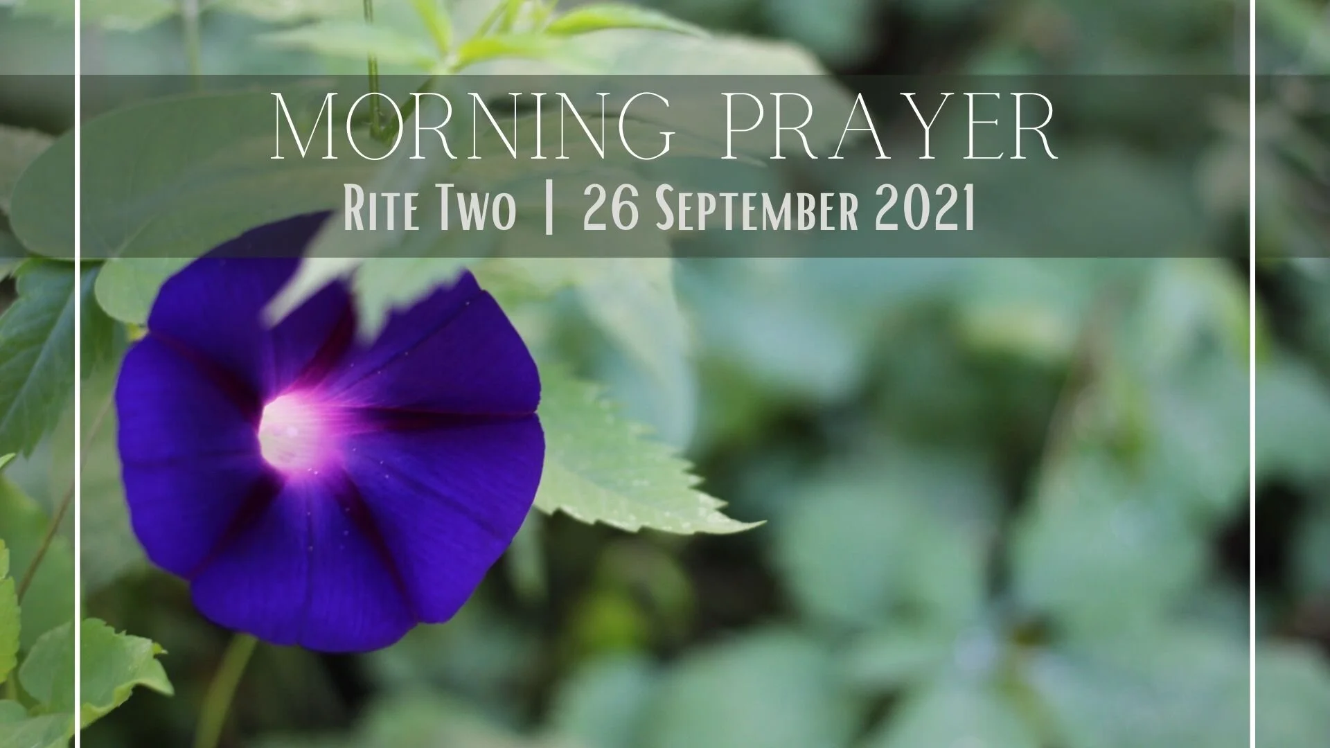 ONLINE | Morning Prayer Rite Two