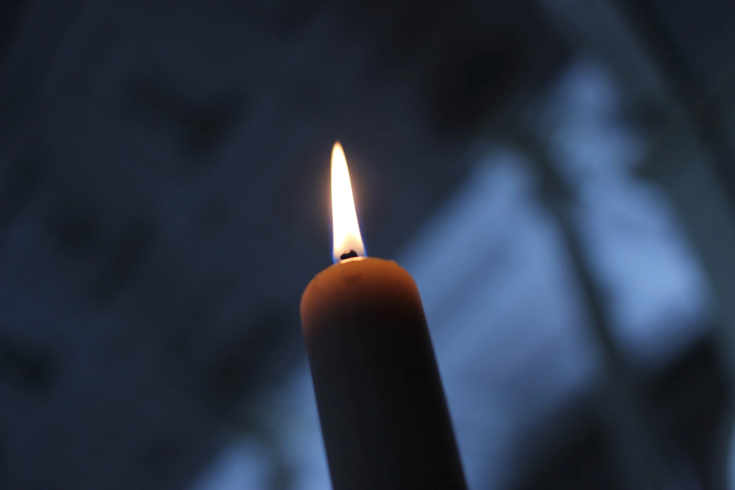 Daily Reflection | Connected in Christ