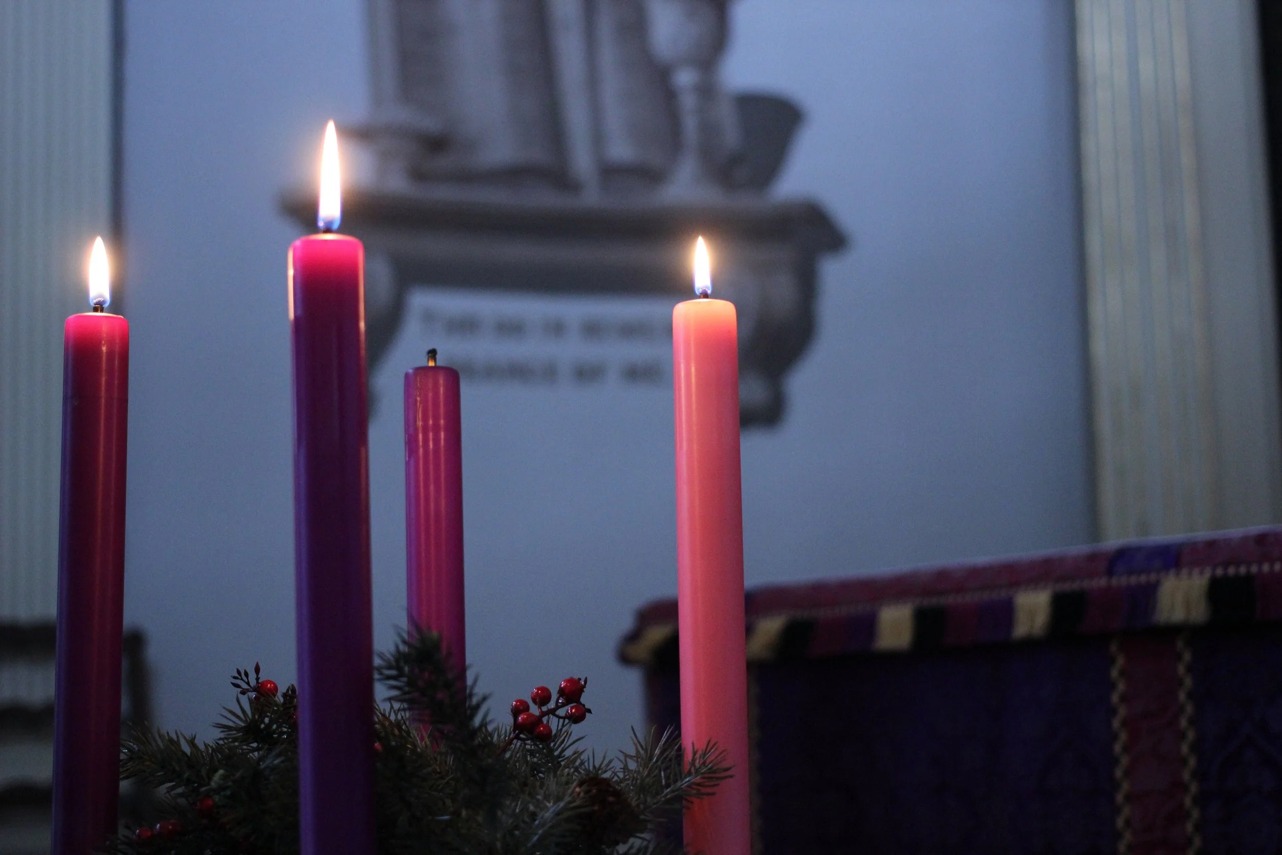 Daily Reflection | Connected in Christ