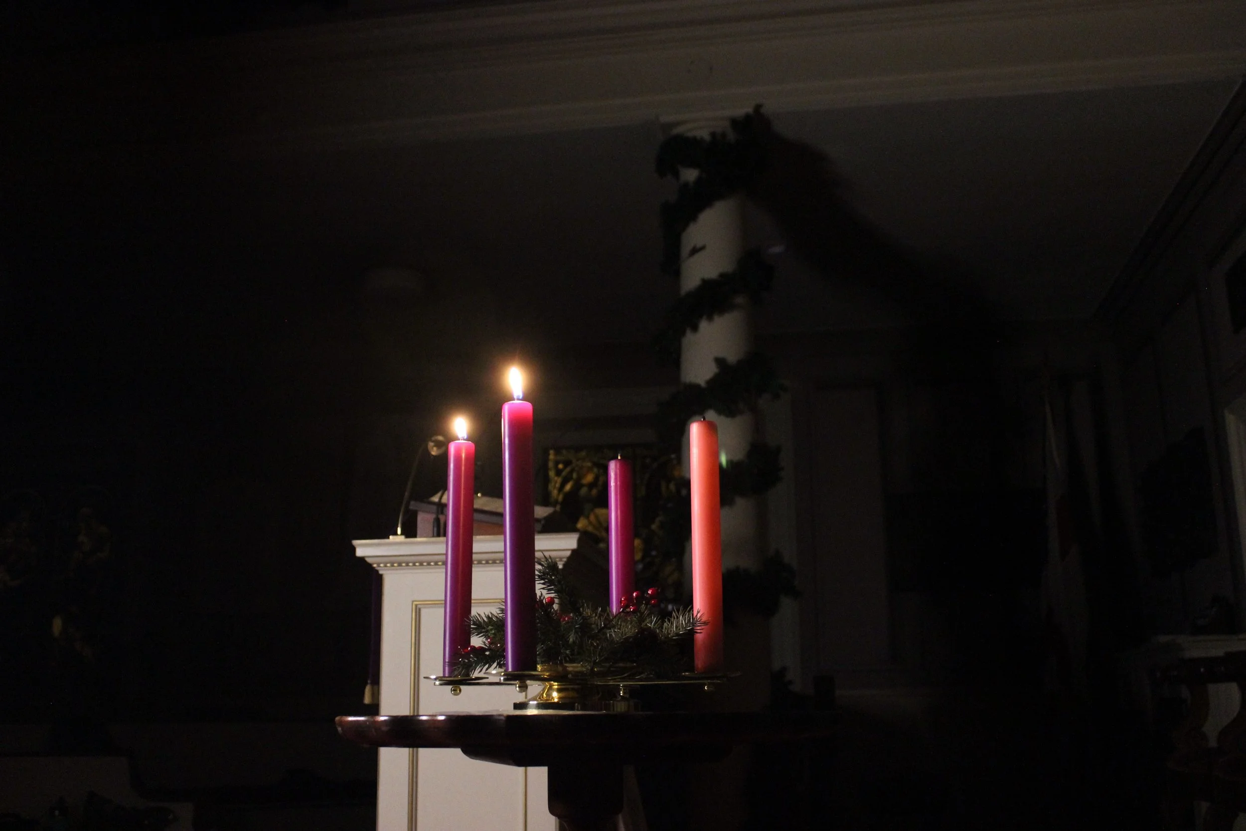 Daily Reflection | Connected in Christ