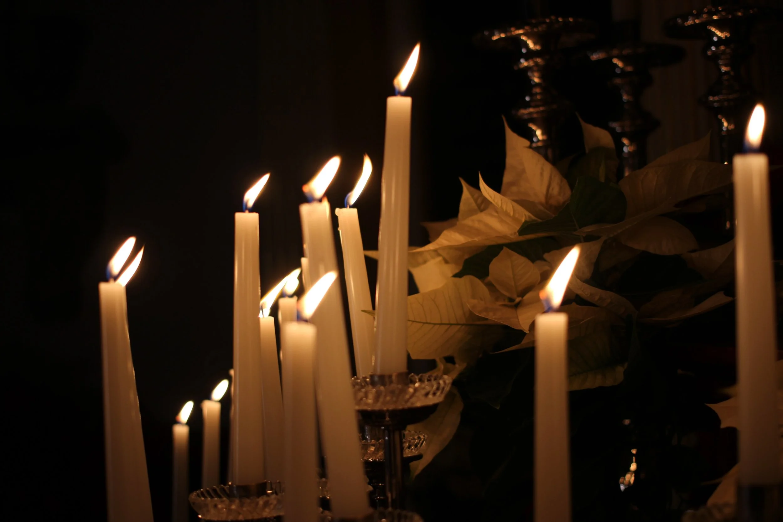 Daily Reflection | Connected in Christ