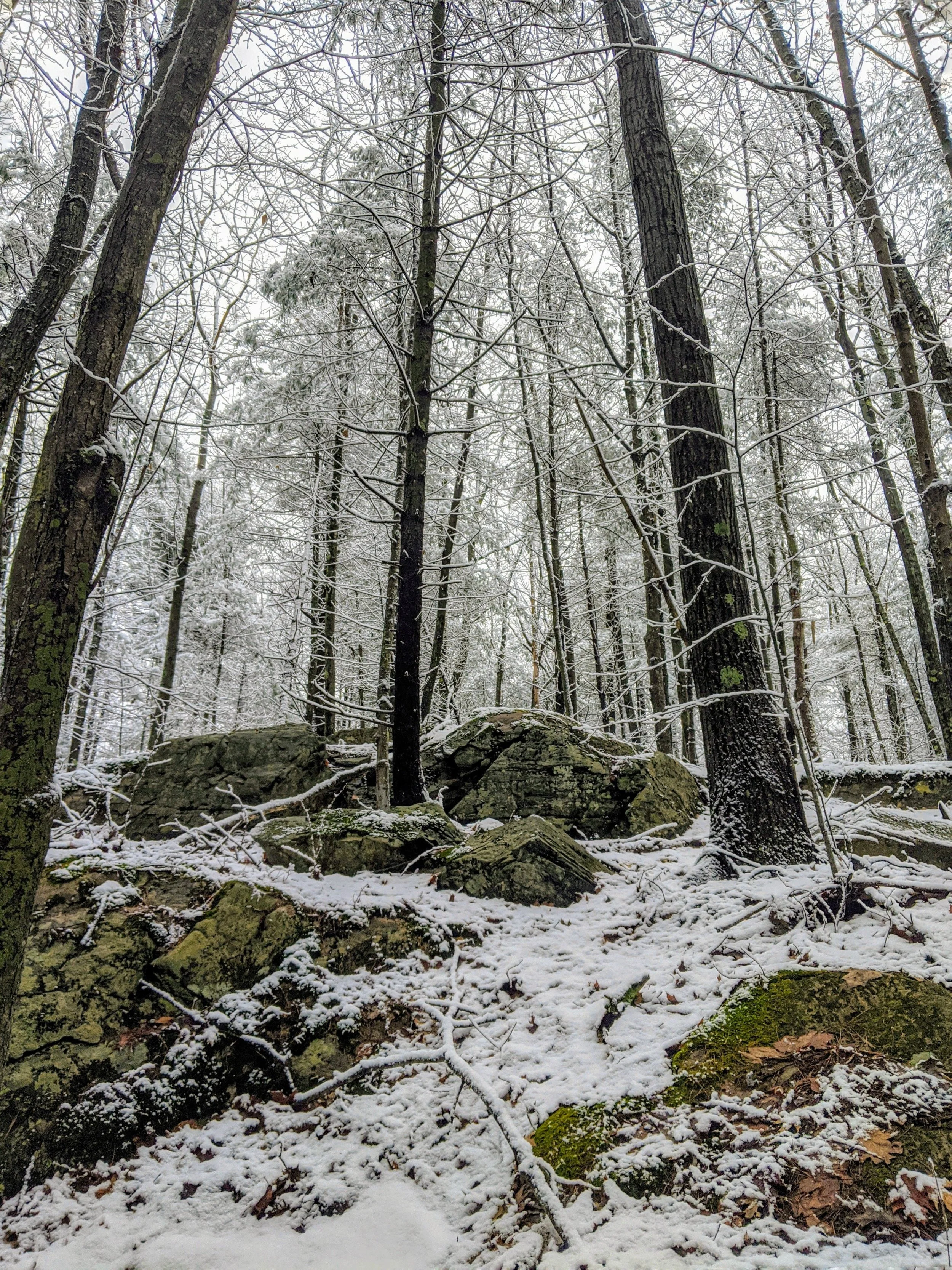 Daily Reflection | Connected in Christ