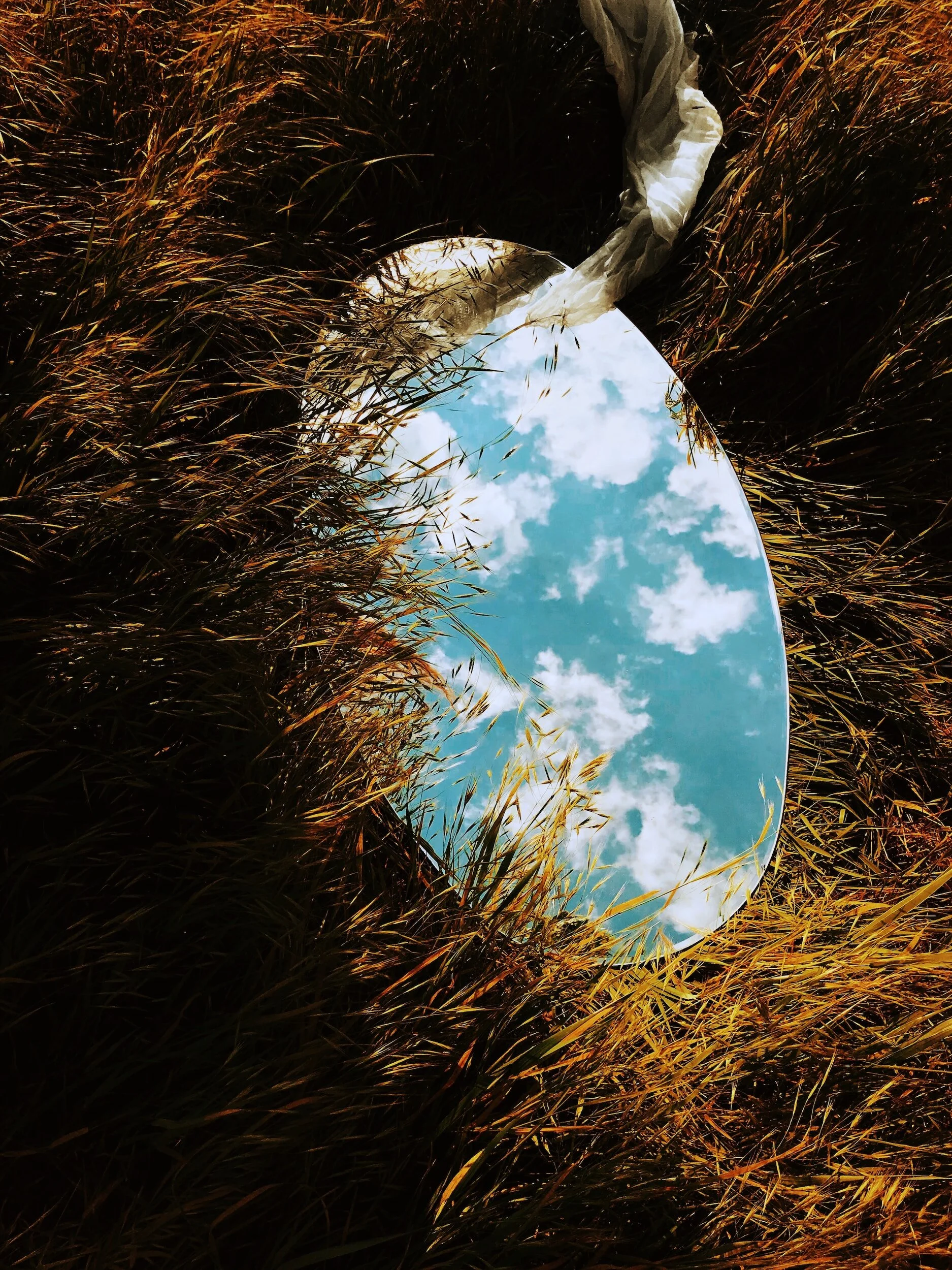 Daily Reflection | Connected in Christ