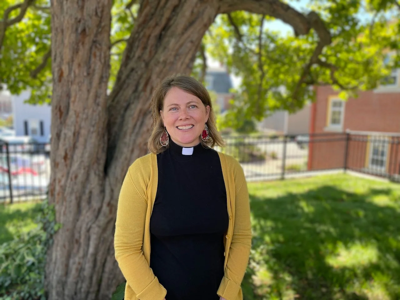 Daily Reflection | Connected in Christ