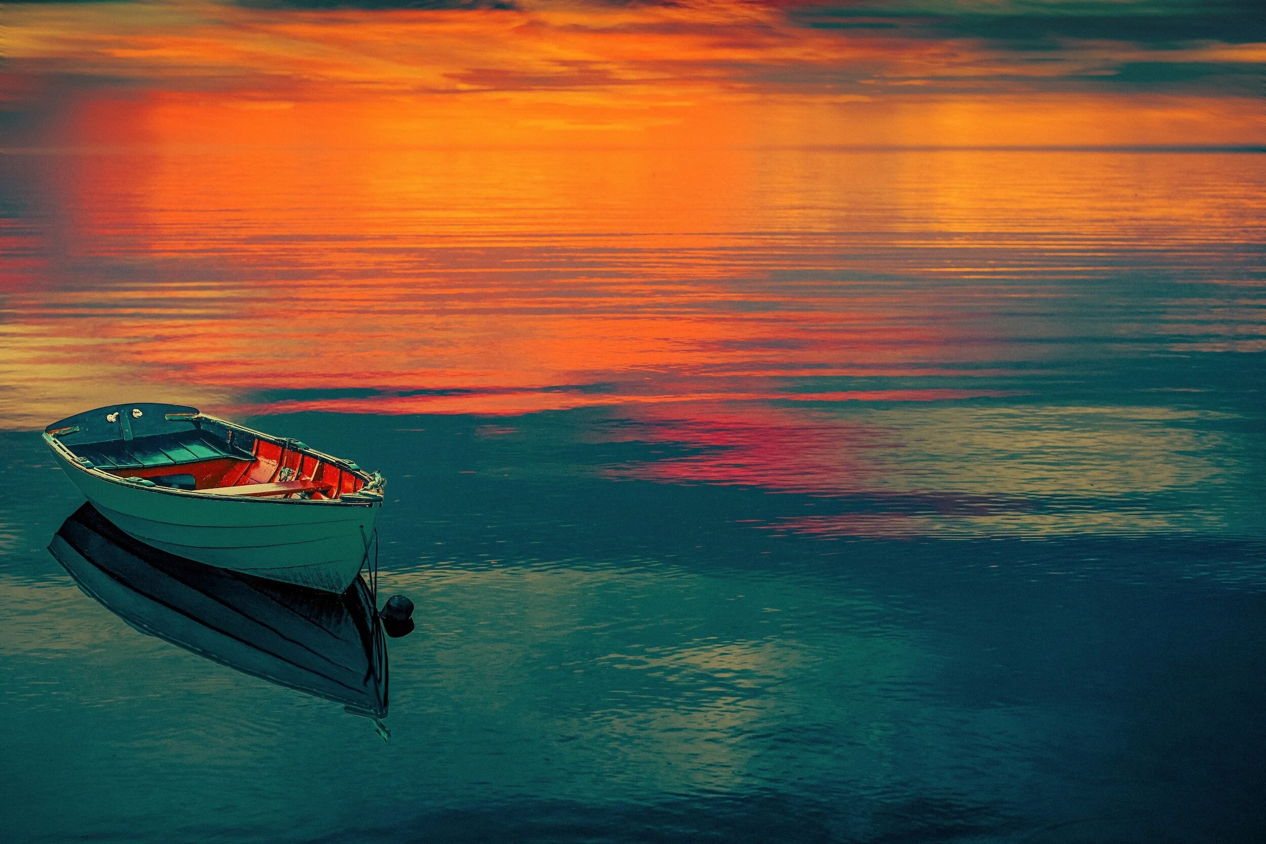 Daily Reflection | Connected in Christ