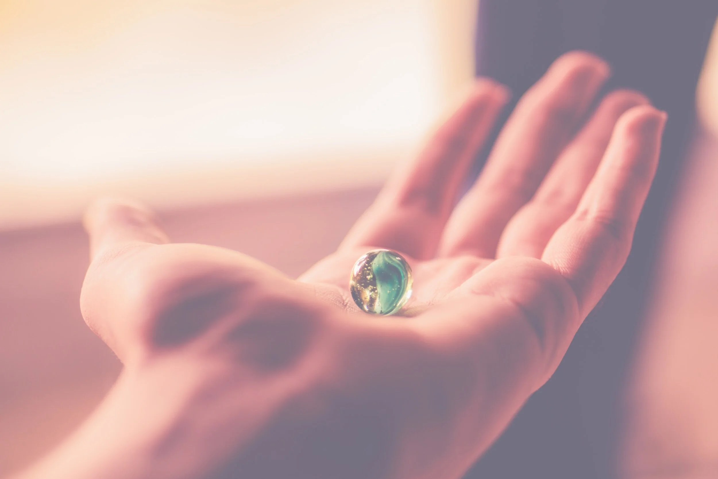 Daily Reflection | Connected in Christ