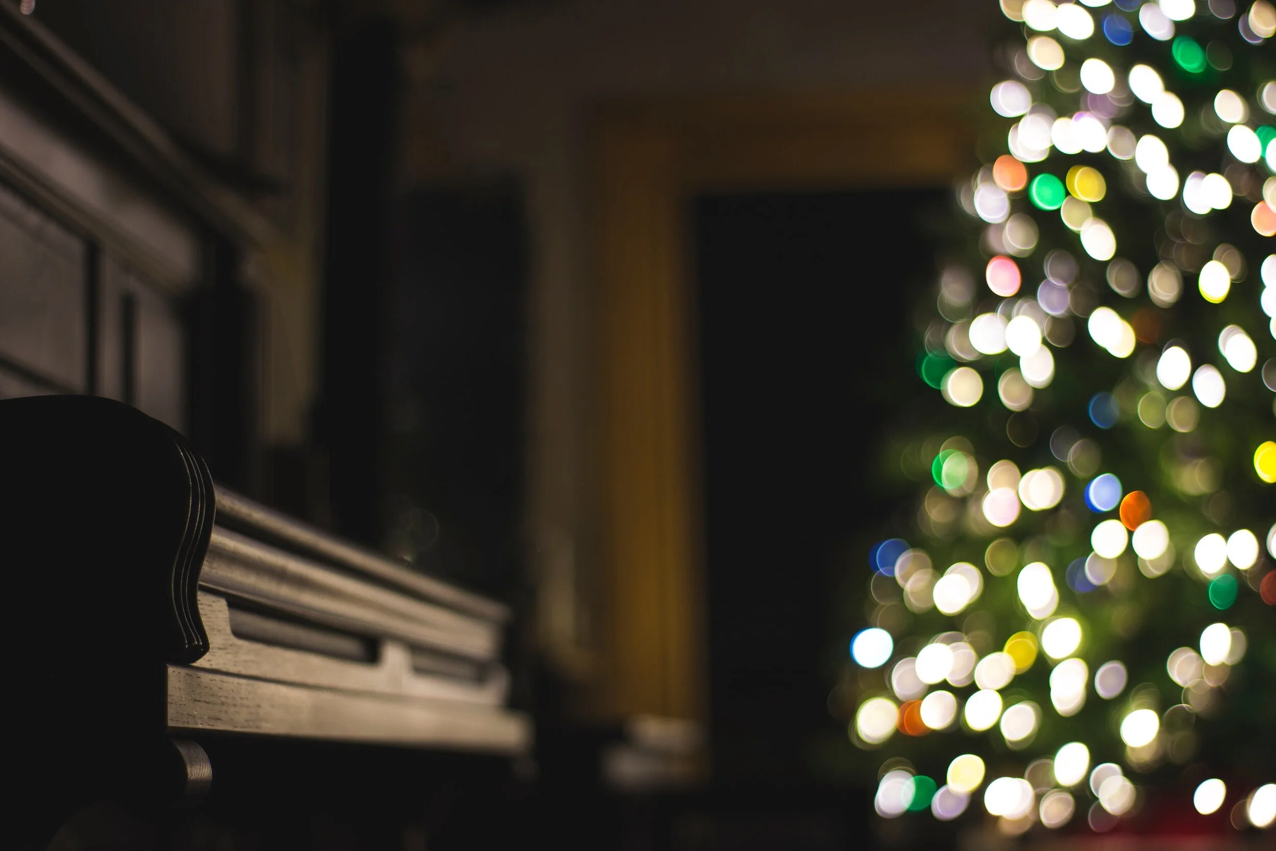 Daily Reflection | Connected in Christ