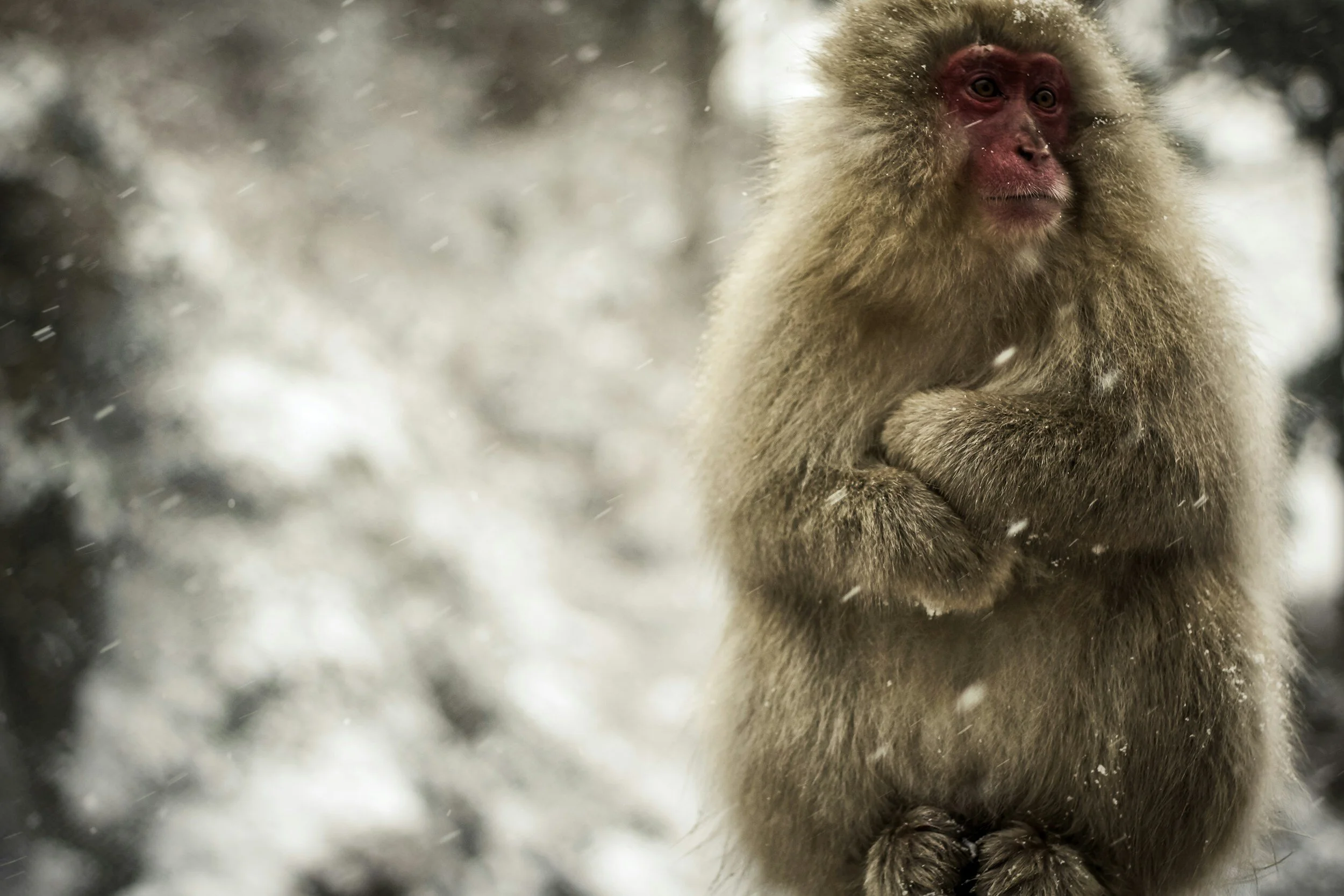 Daily Reflection | Connected in Christ