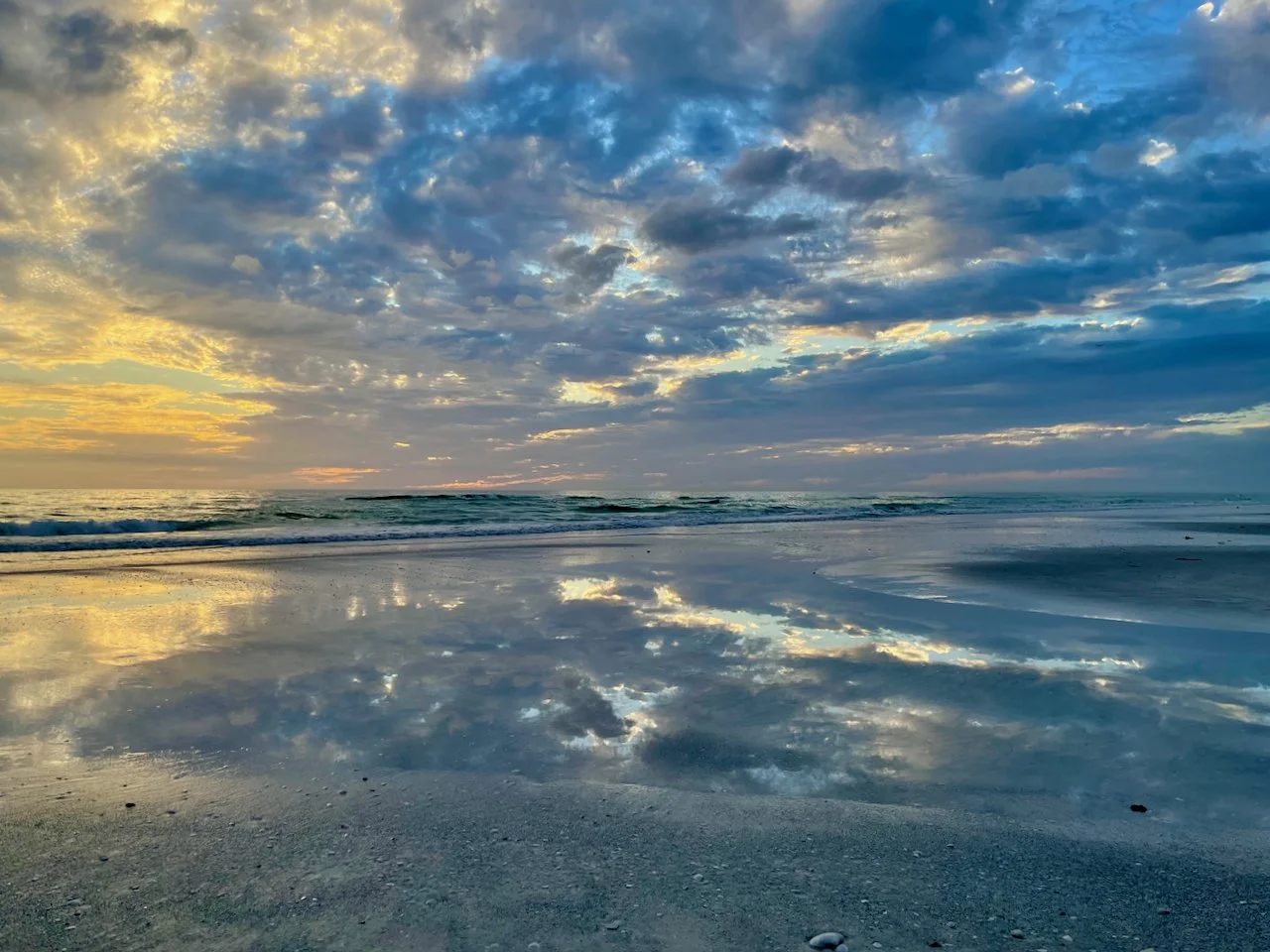 Daily Reflection | Connected in Christ