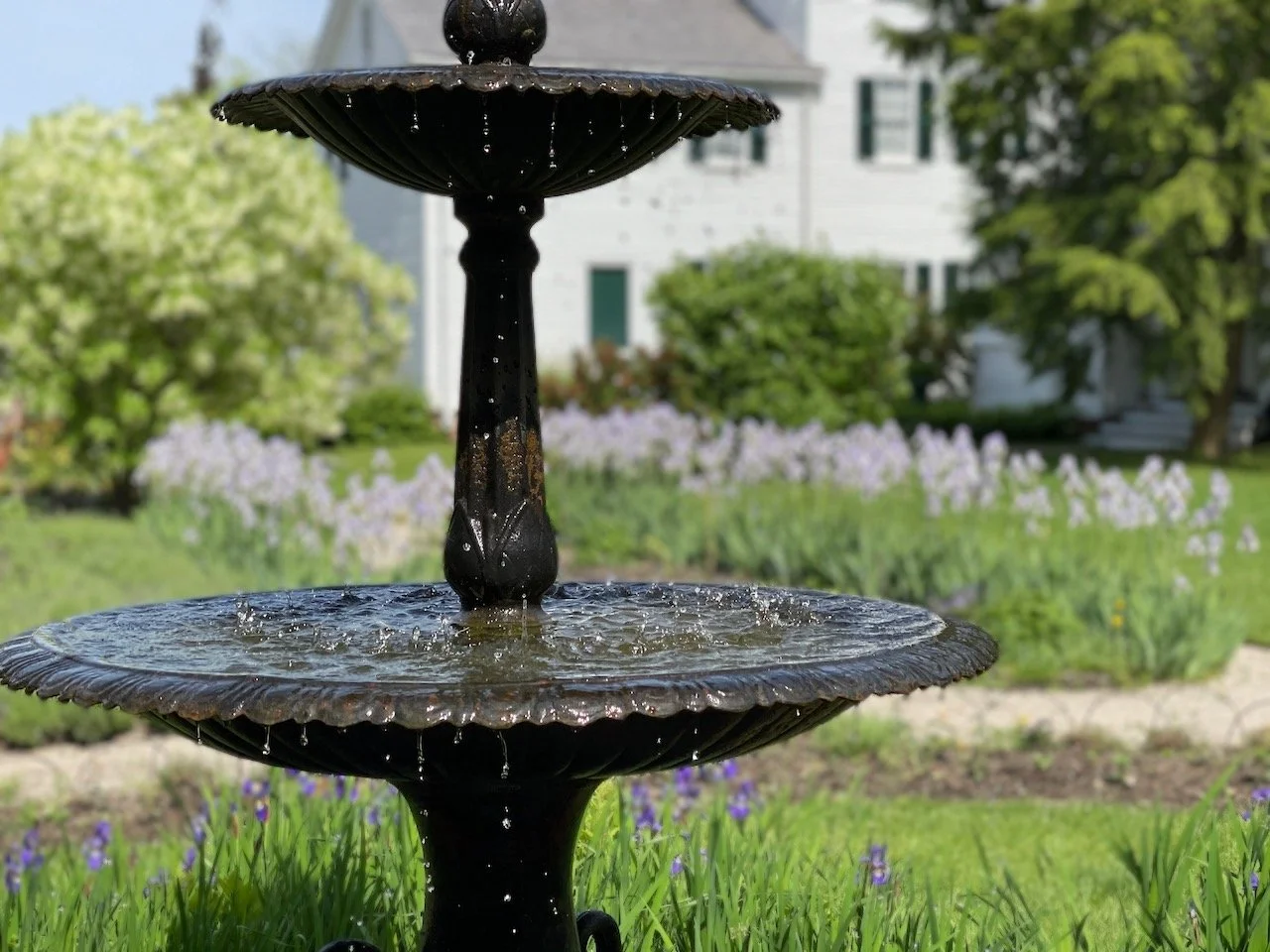 Strawbery Banke Summer Sundays Fountain.jpeg