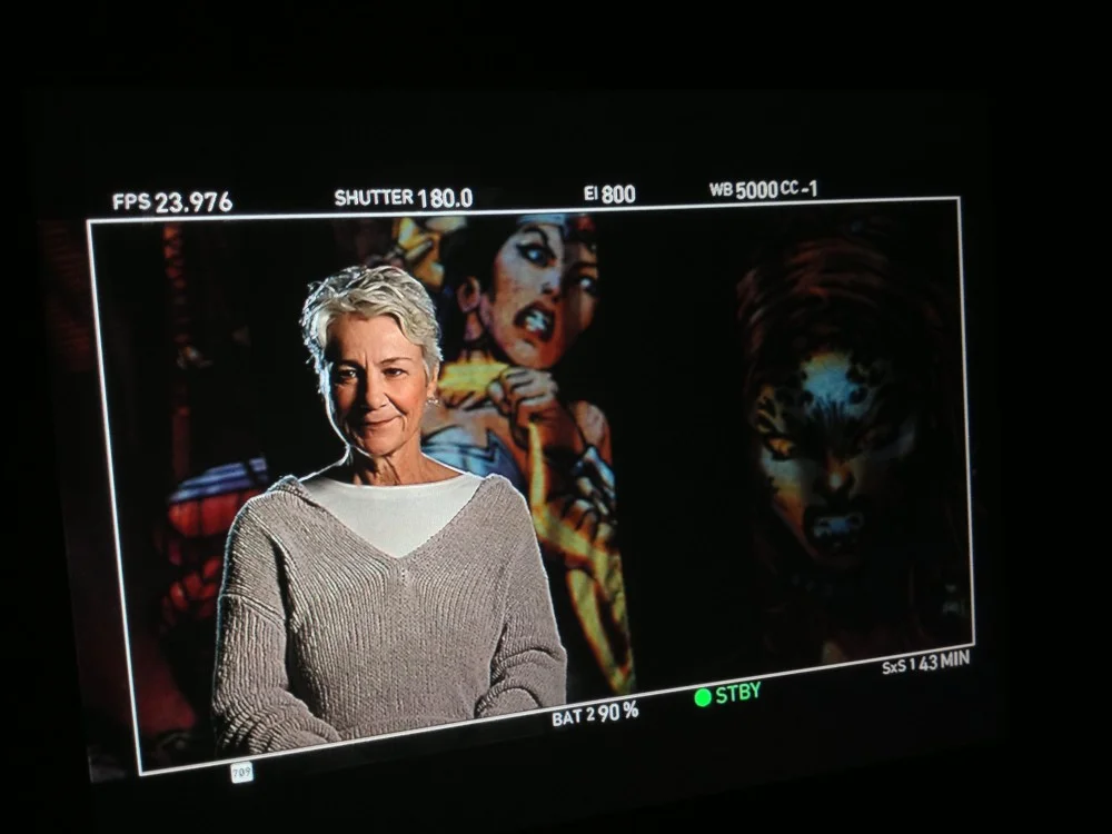 Andrea Romano / Necessary Evil Documentary