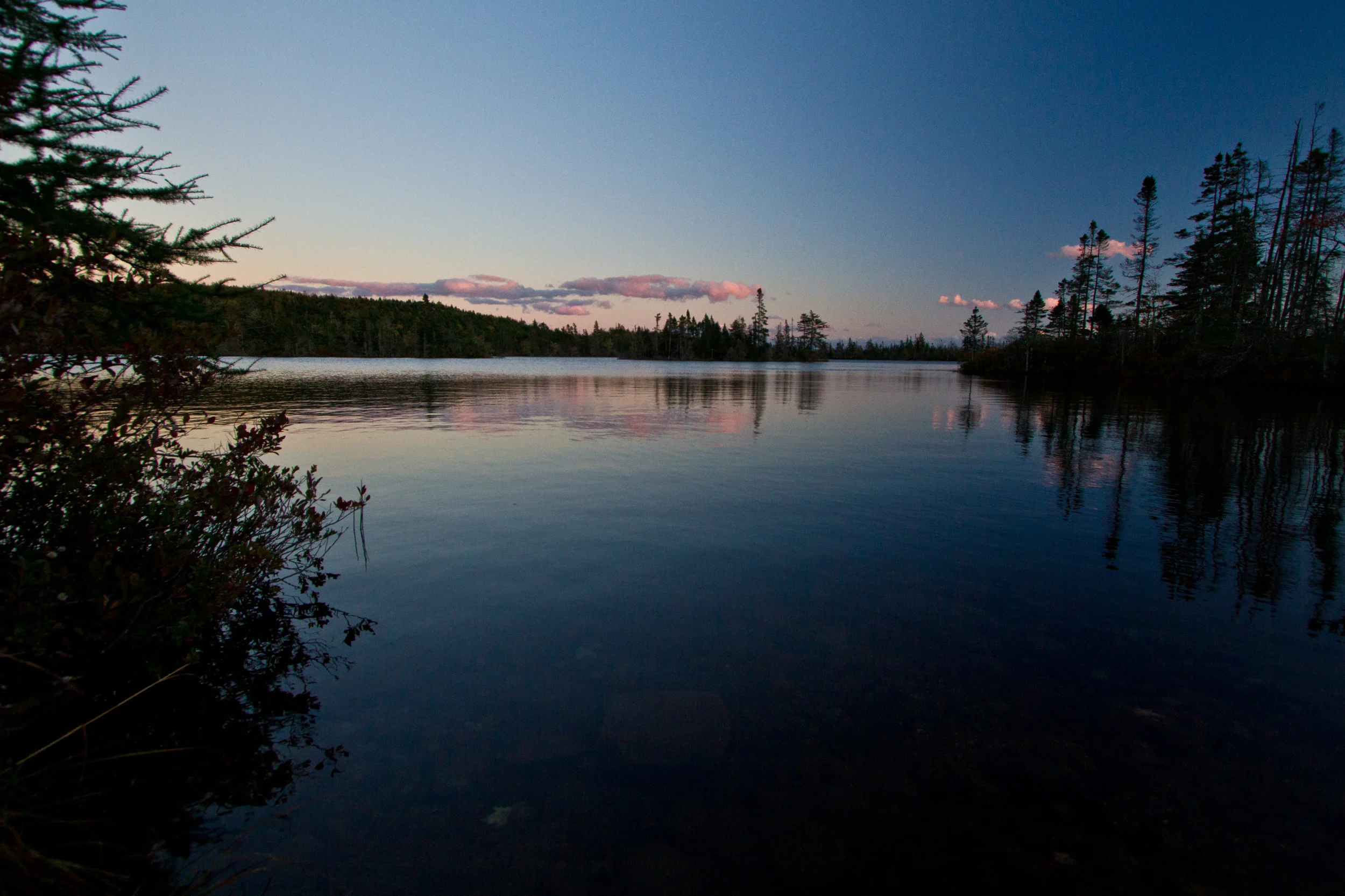 IMG_8982.jpg