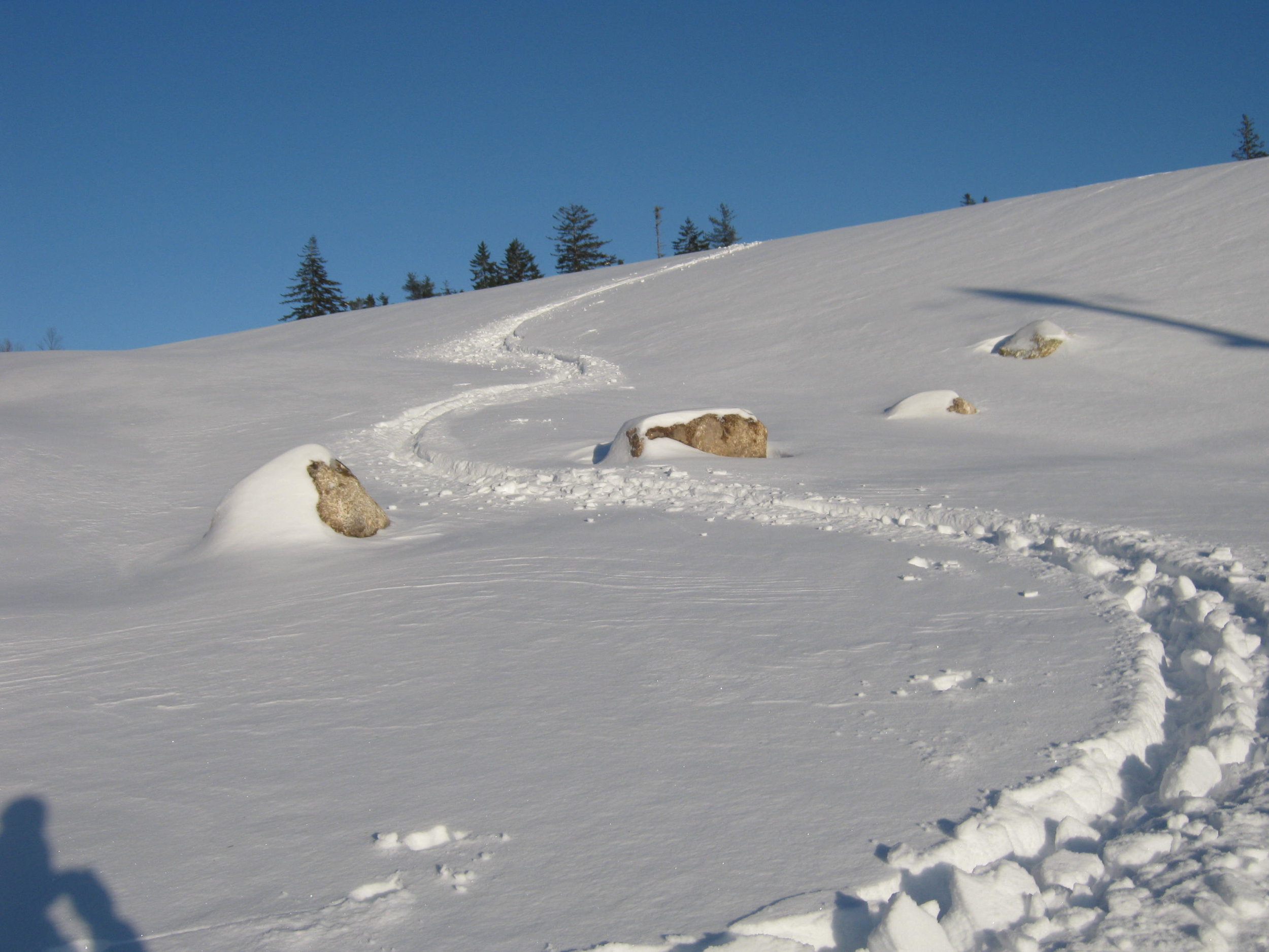 Walk with Neil: Winter Edition