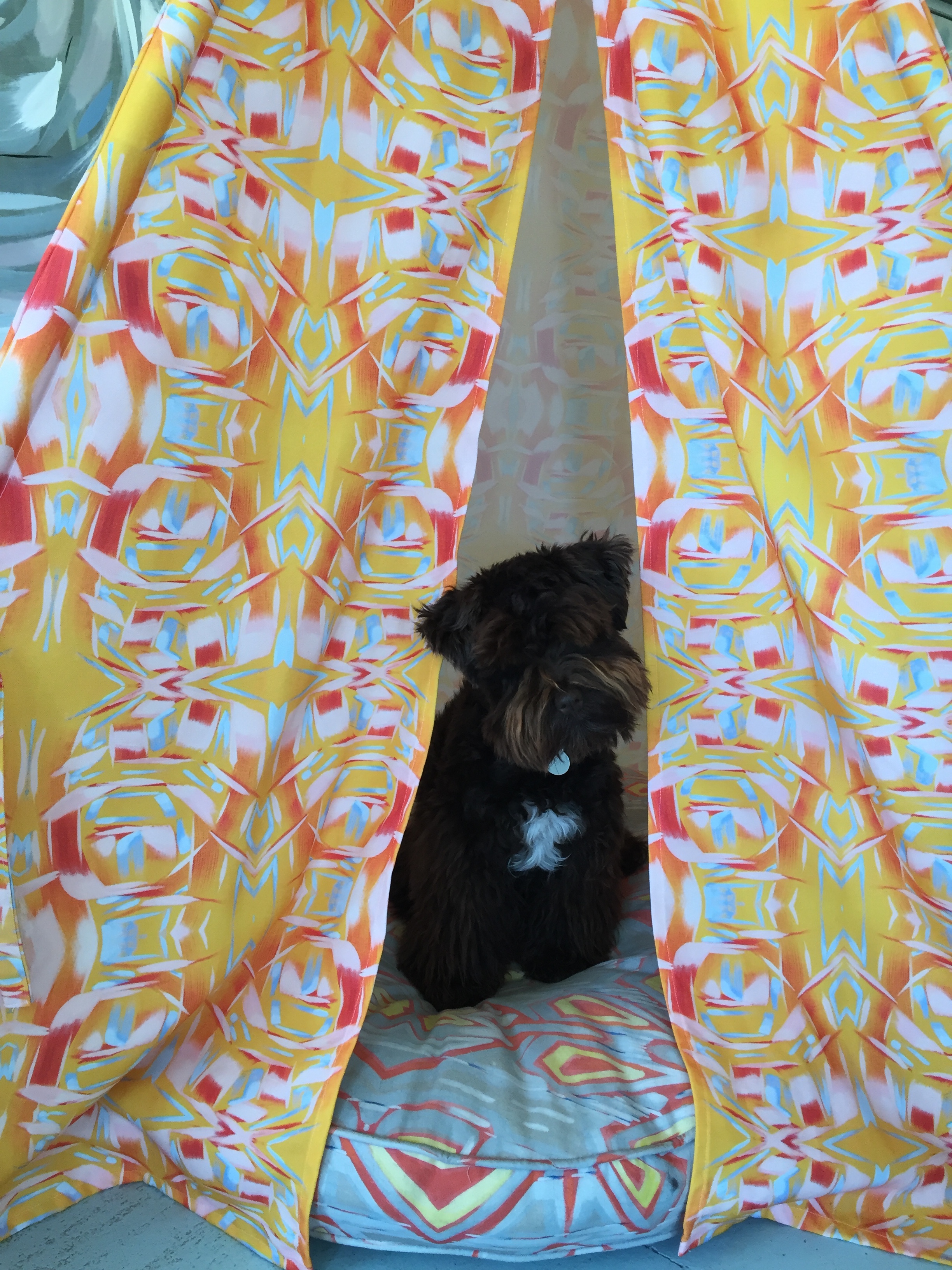 Too many bubbles resulted in a mandatory visit to the studio tipi for a quick nap. Zzzzzzzz.