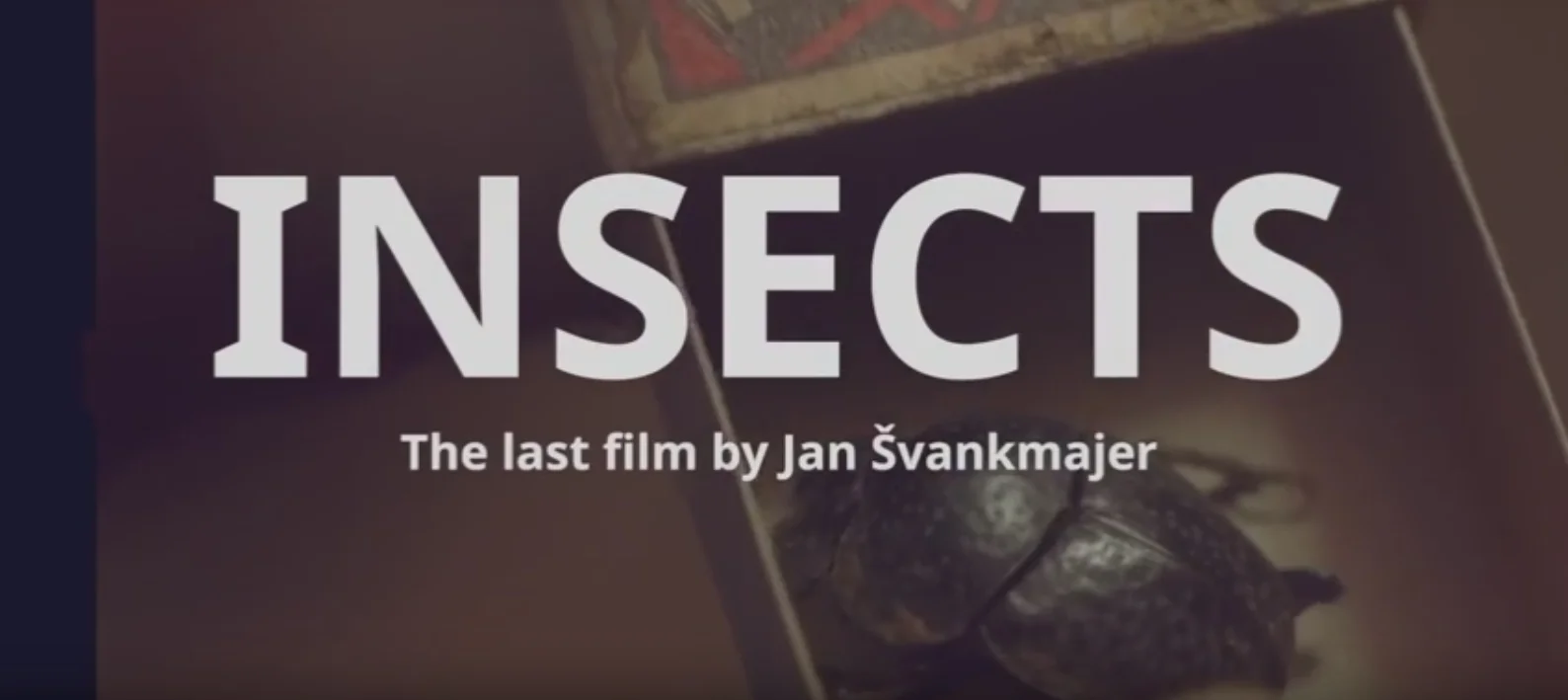 THE INSECTS: CROWDFUNDING FOR FILM PRODUCTION