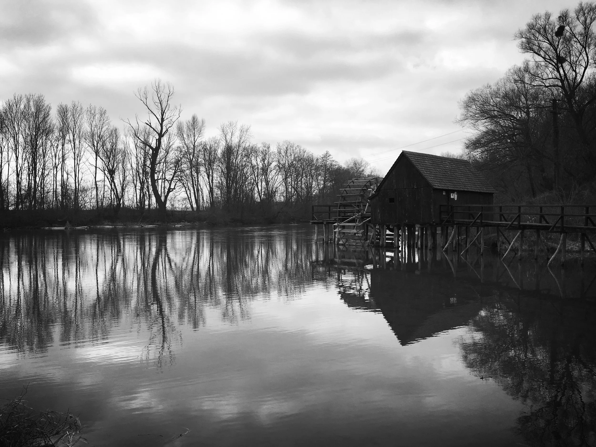ZAČÍNA SA NAKRÚCANIE FILMU POMAĽOVANÉ VTÁČA