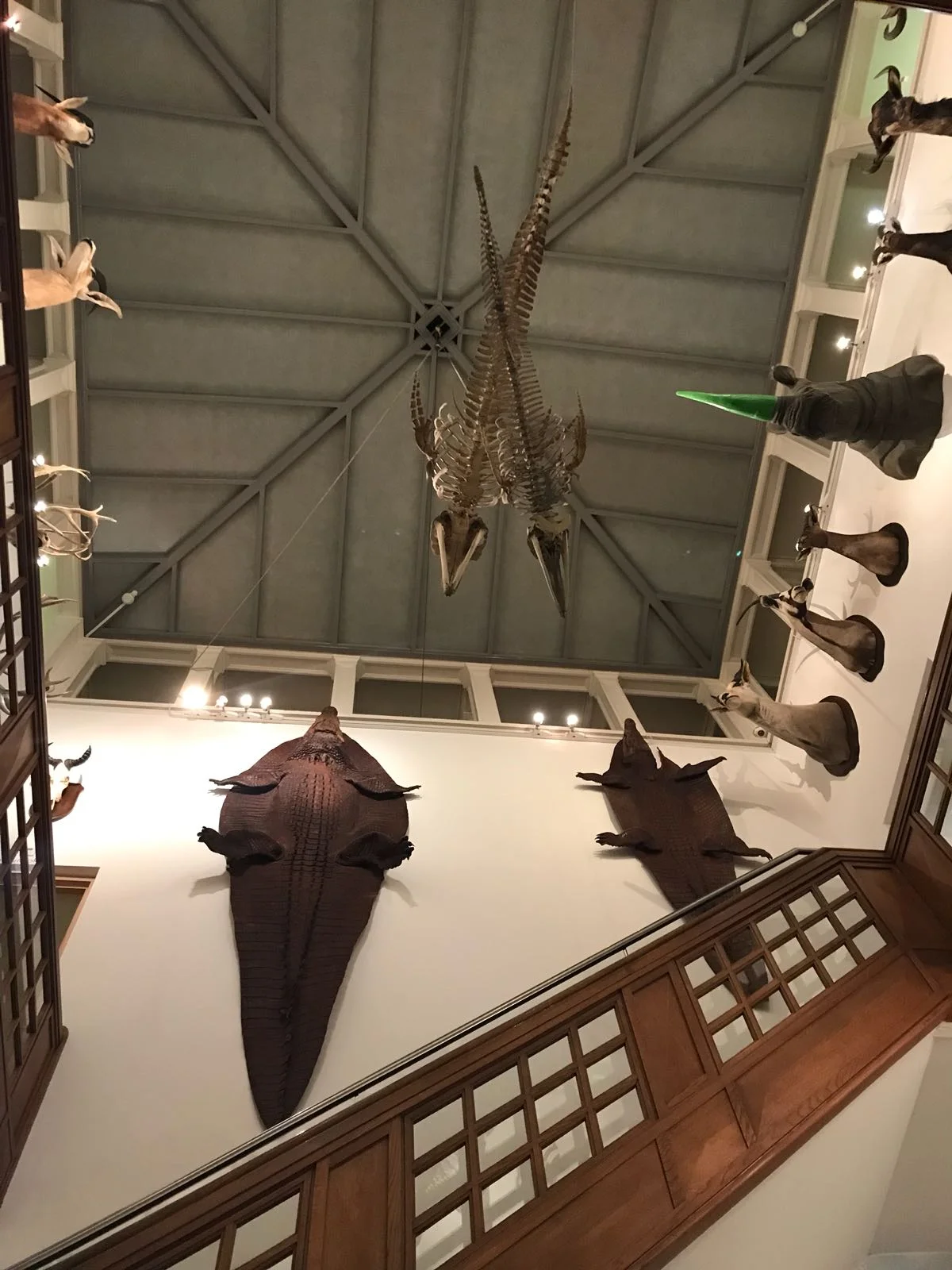 IMG-20180128-WA0019.jpg