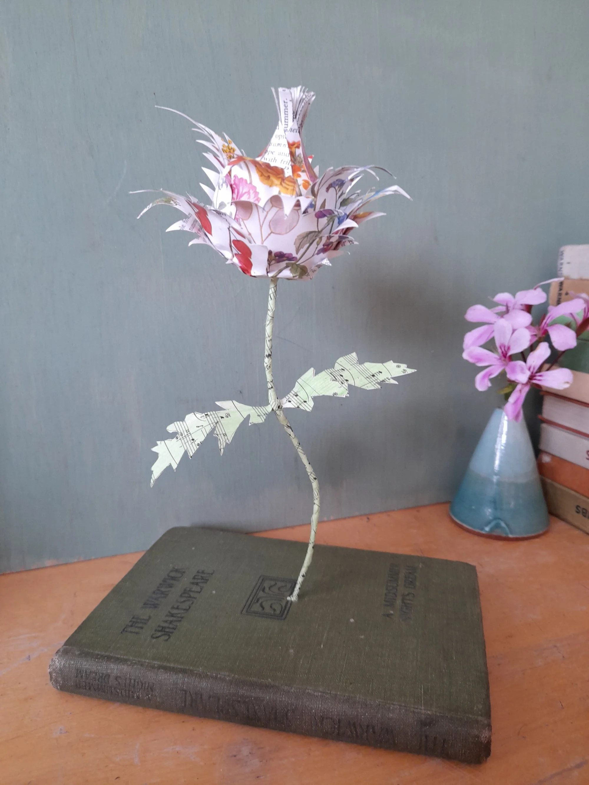 Shakespeare thistle