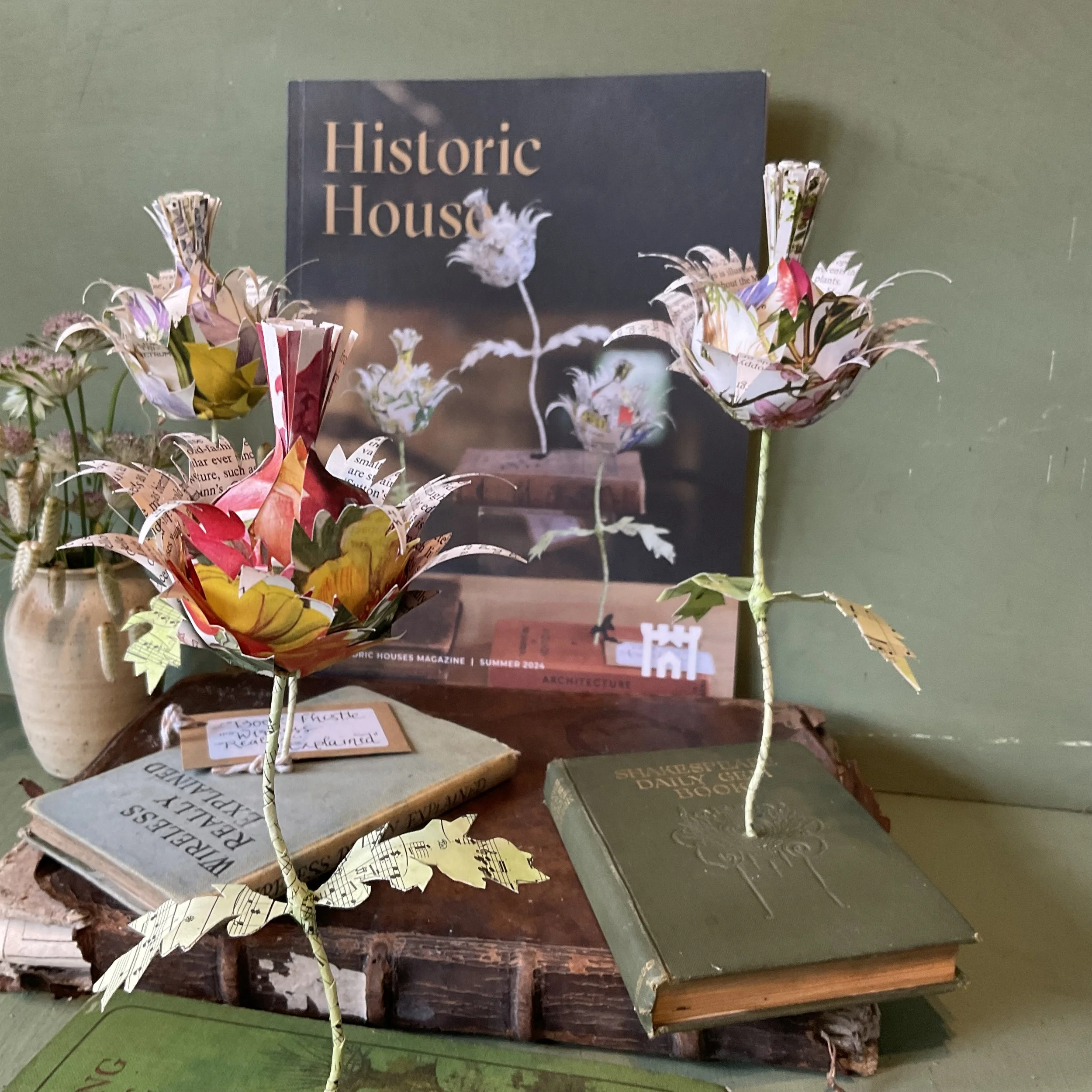 Thistles on a magazine cover