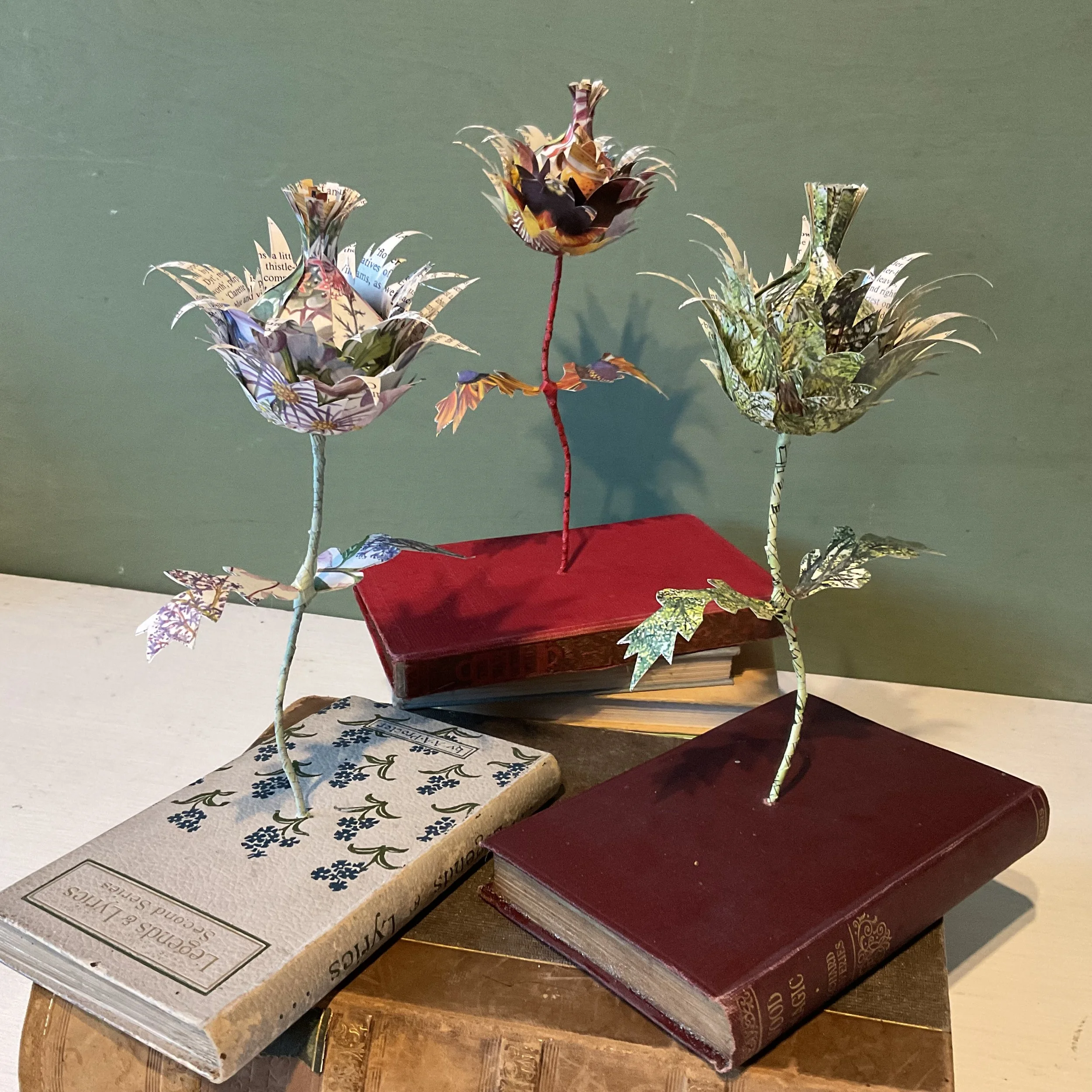 Ideas growing from books