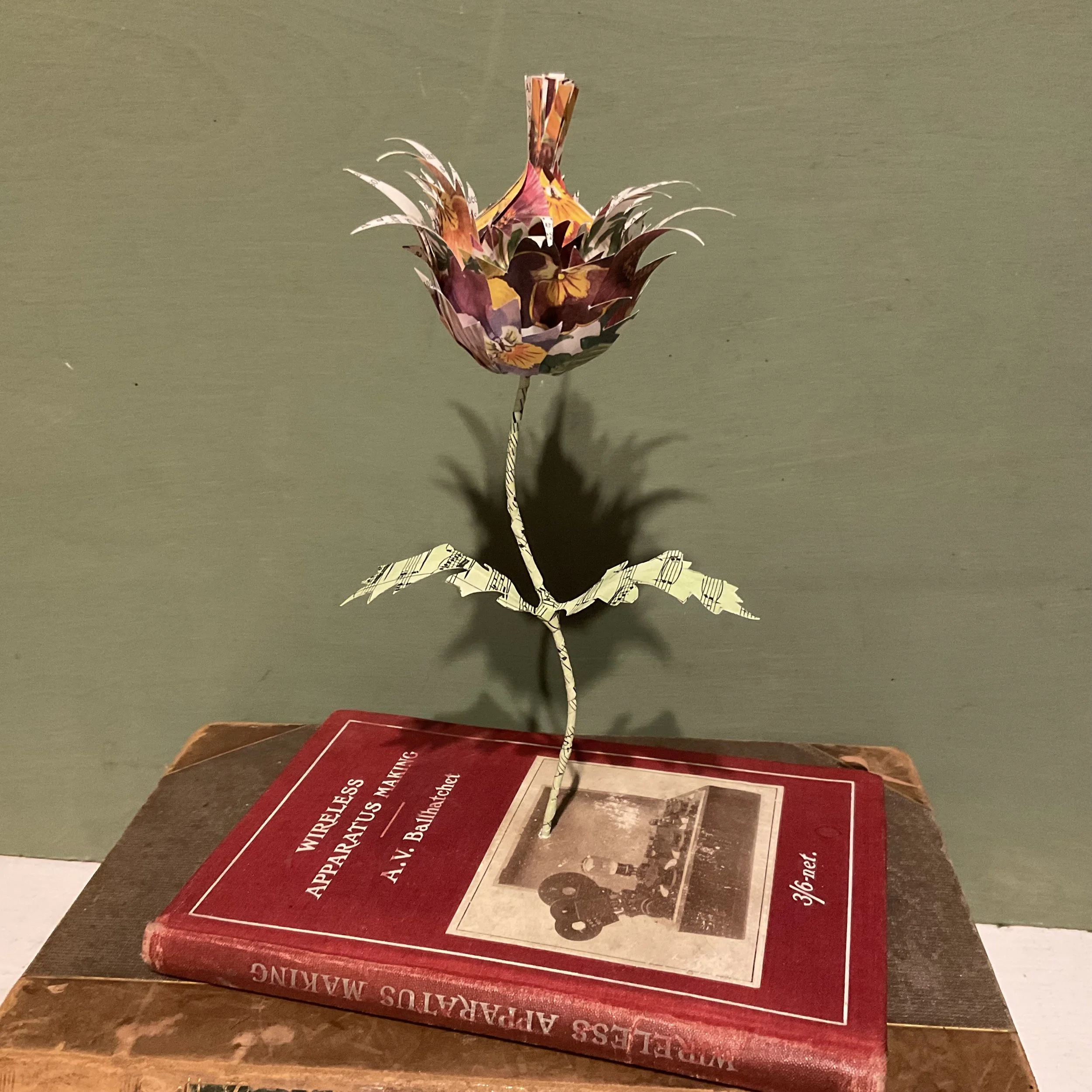 A most unusual book