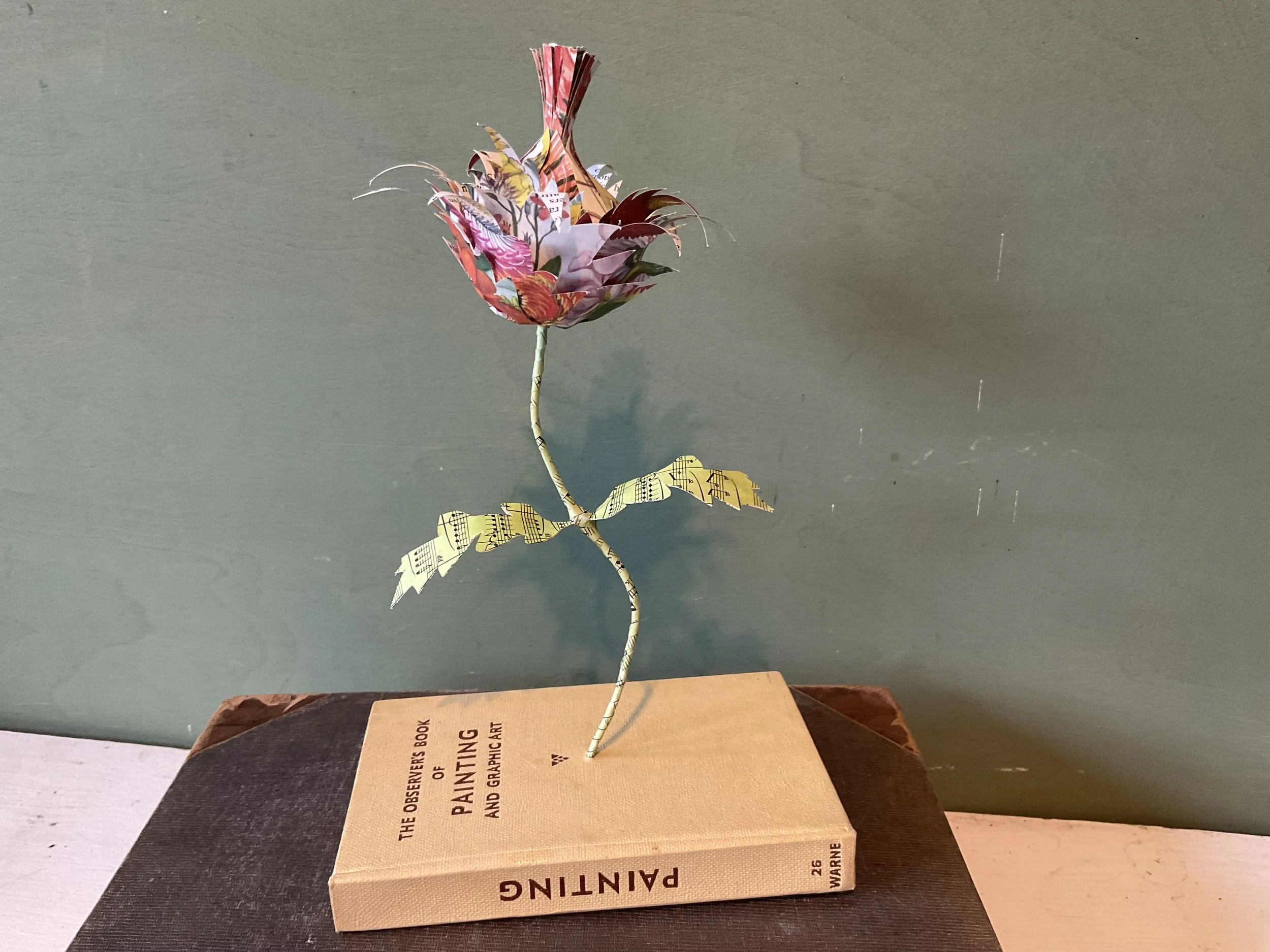 Observer books