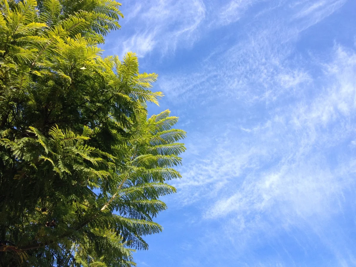Layers of land and sky