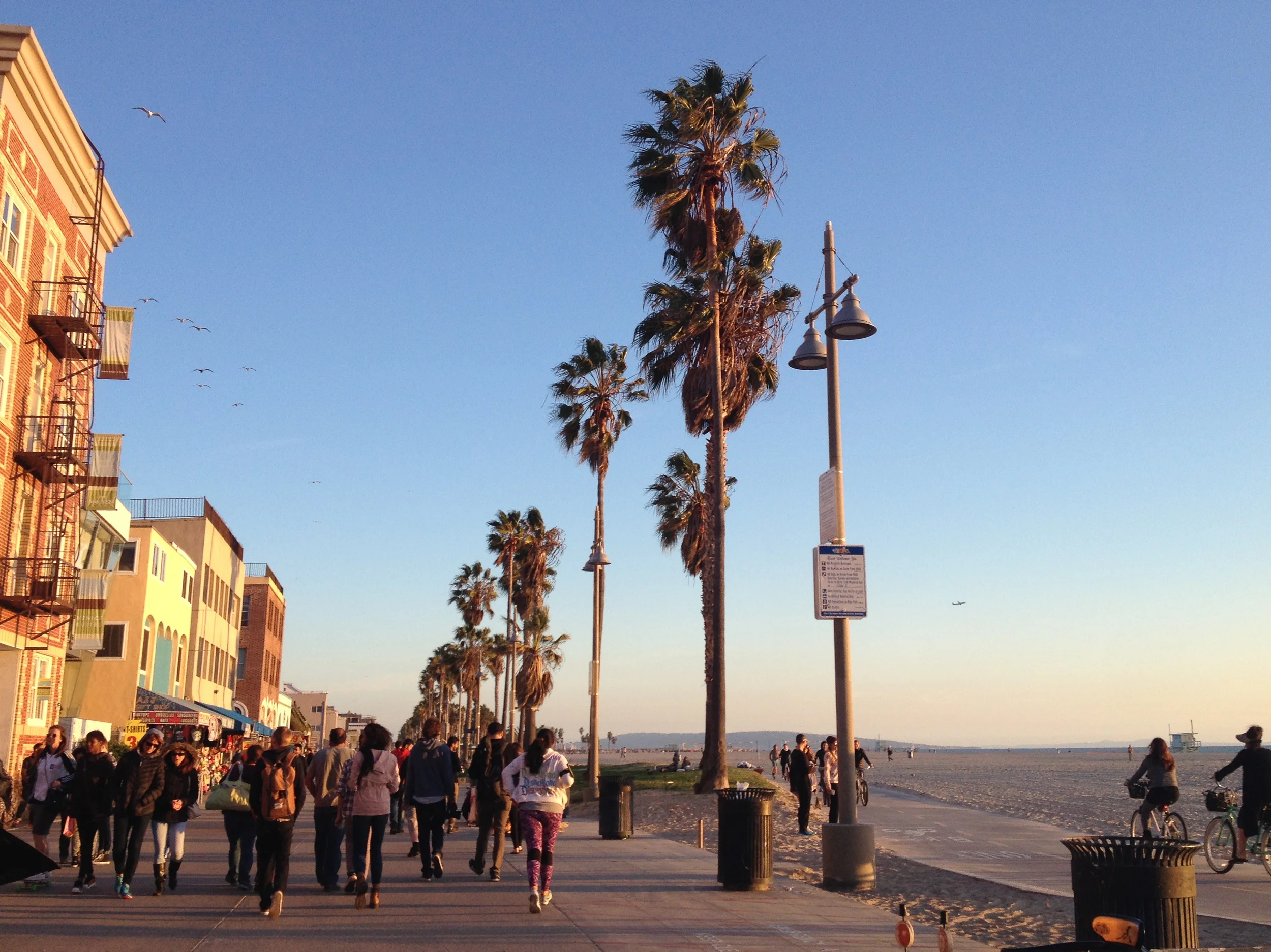 Letters to Liona: Hello from L.A.!