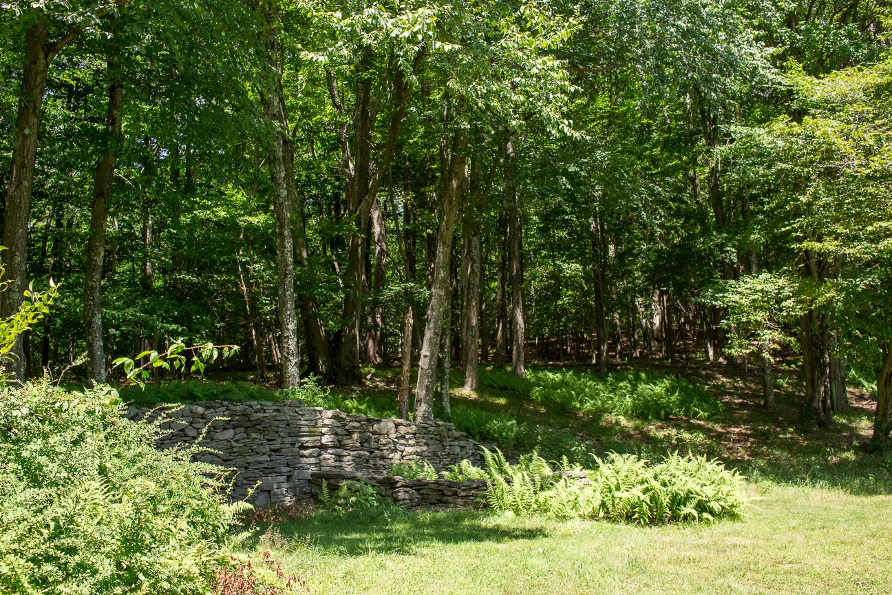 1600809_Picone_44.jpg