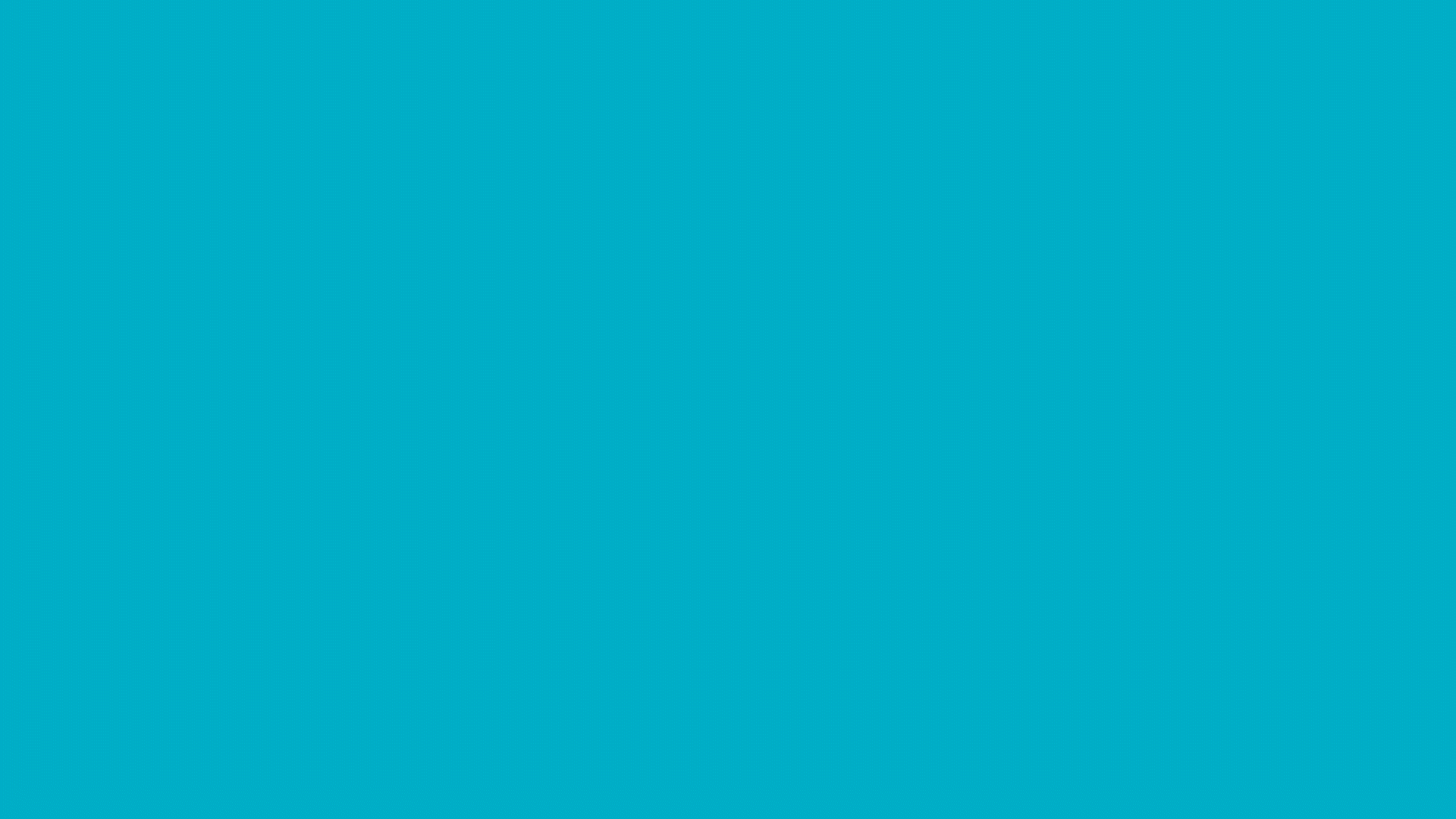 BXC_logo-animation_white-teal-navy.gif