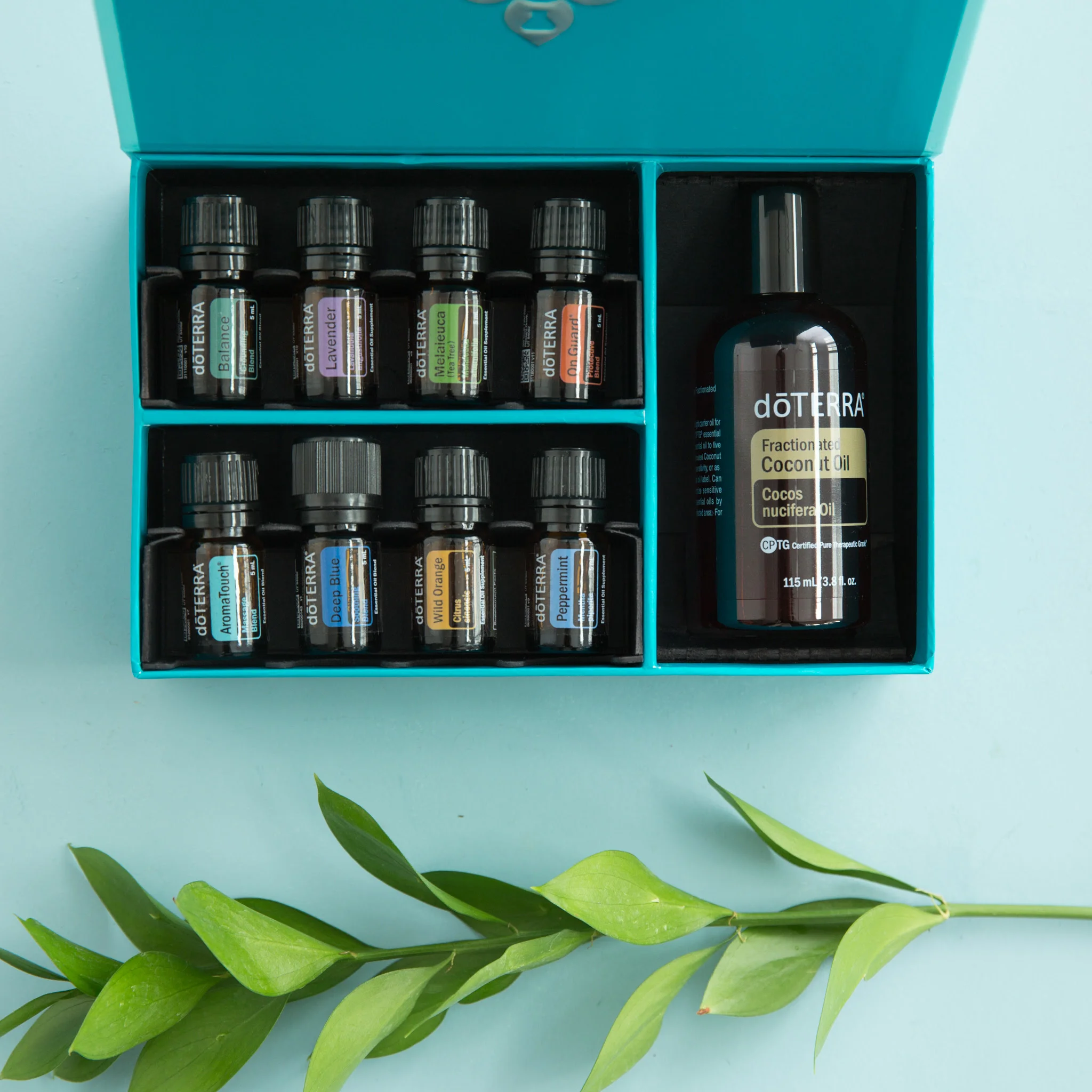 The oils that will be used during your session