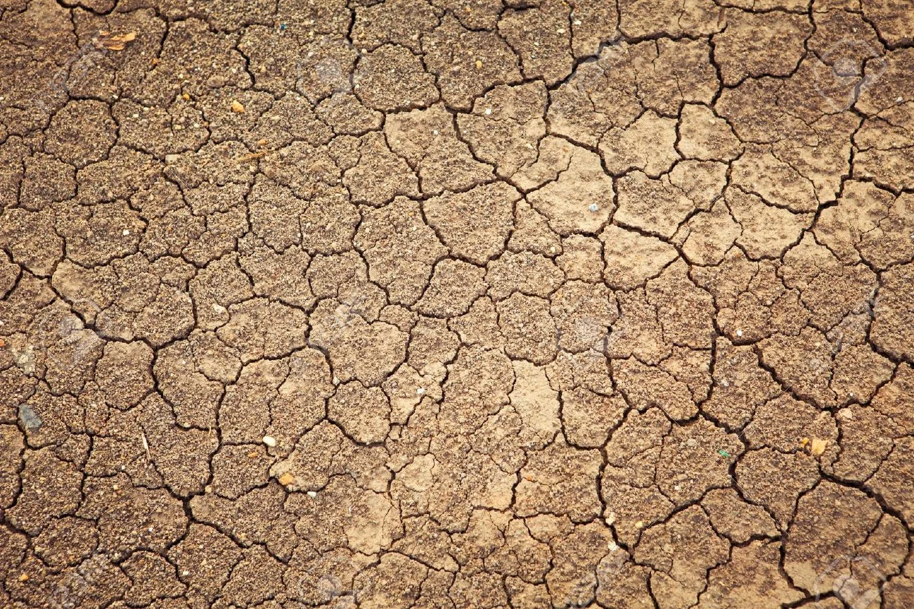 13830604-dry-cracked-earth-background-clay-desert-texture.jpg