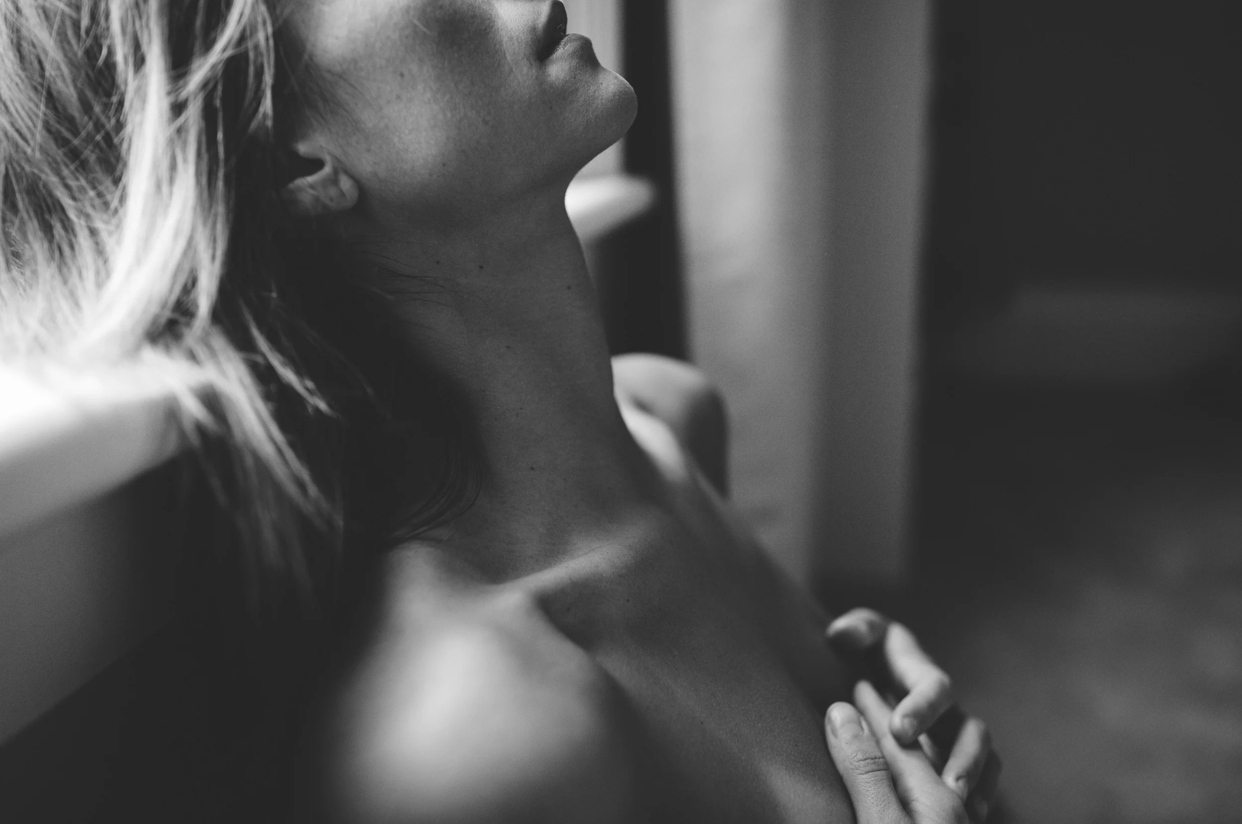 1T5A5586.jpg