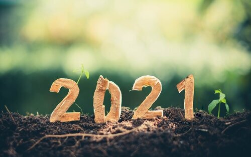 Resolutions for a Healthy New Year